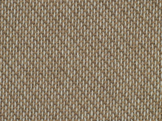 Cashmere-Vicuna ( NEW 2024 )