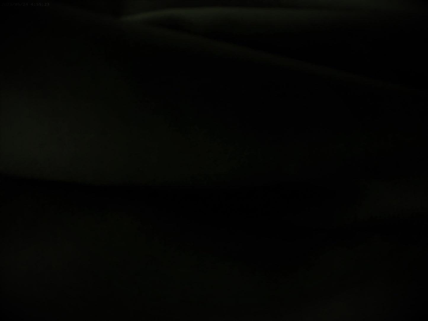 100 % Egyptian cotton ( NEW 2023 )