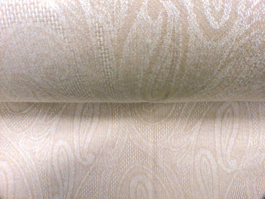 Cashmere-Vicuna ( NEW 2024 )