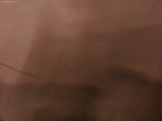 Bemberg Lining ( NEW 2025 )