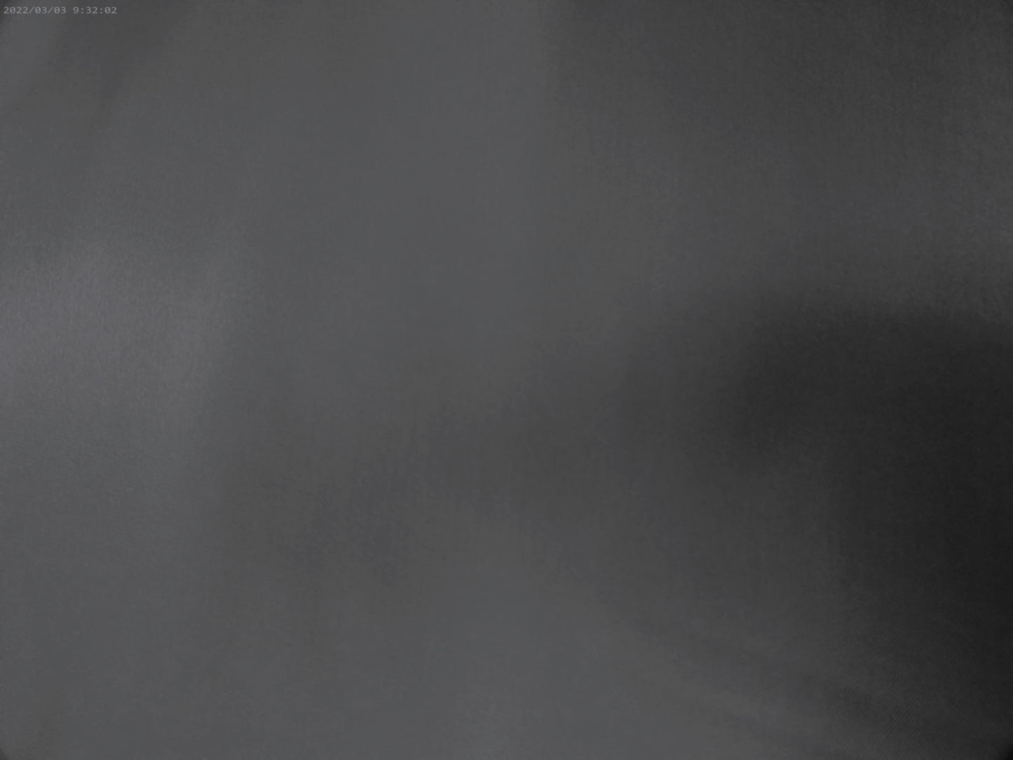 Bemberg Lining ( NEW 2025 )