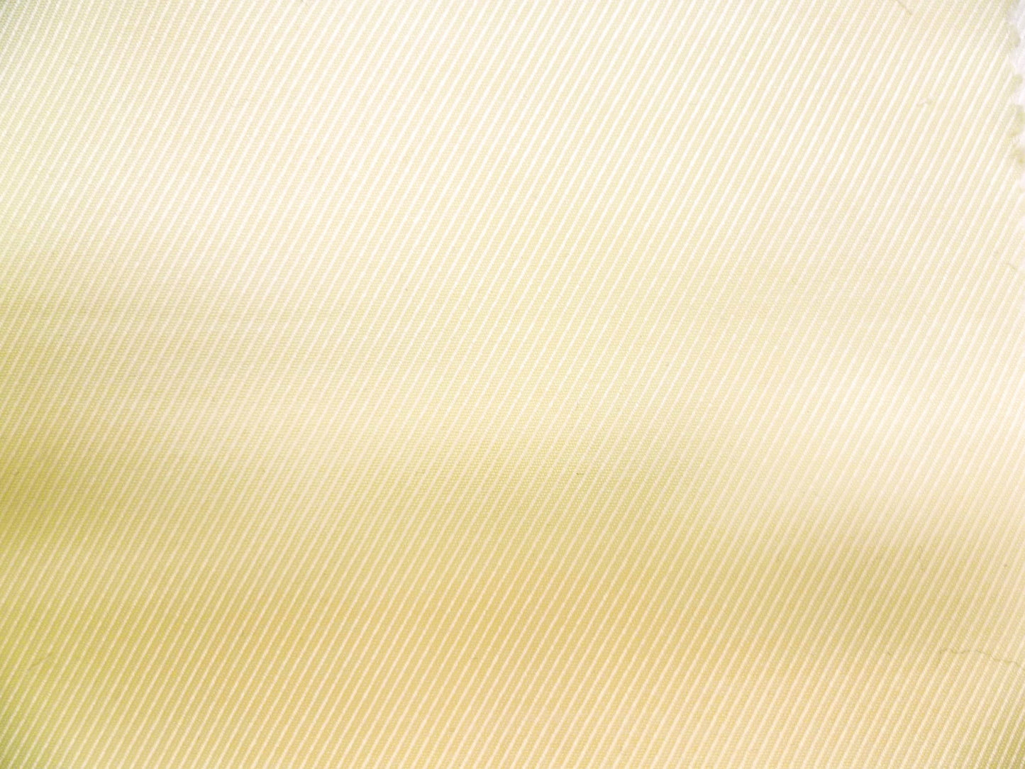 100 % Egyptian Cotton ( CLEARANCE PRICE FOR 2026 )