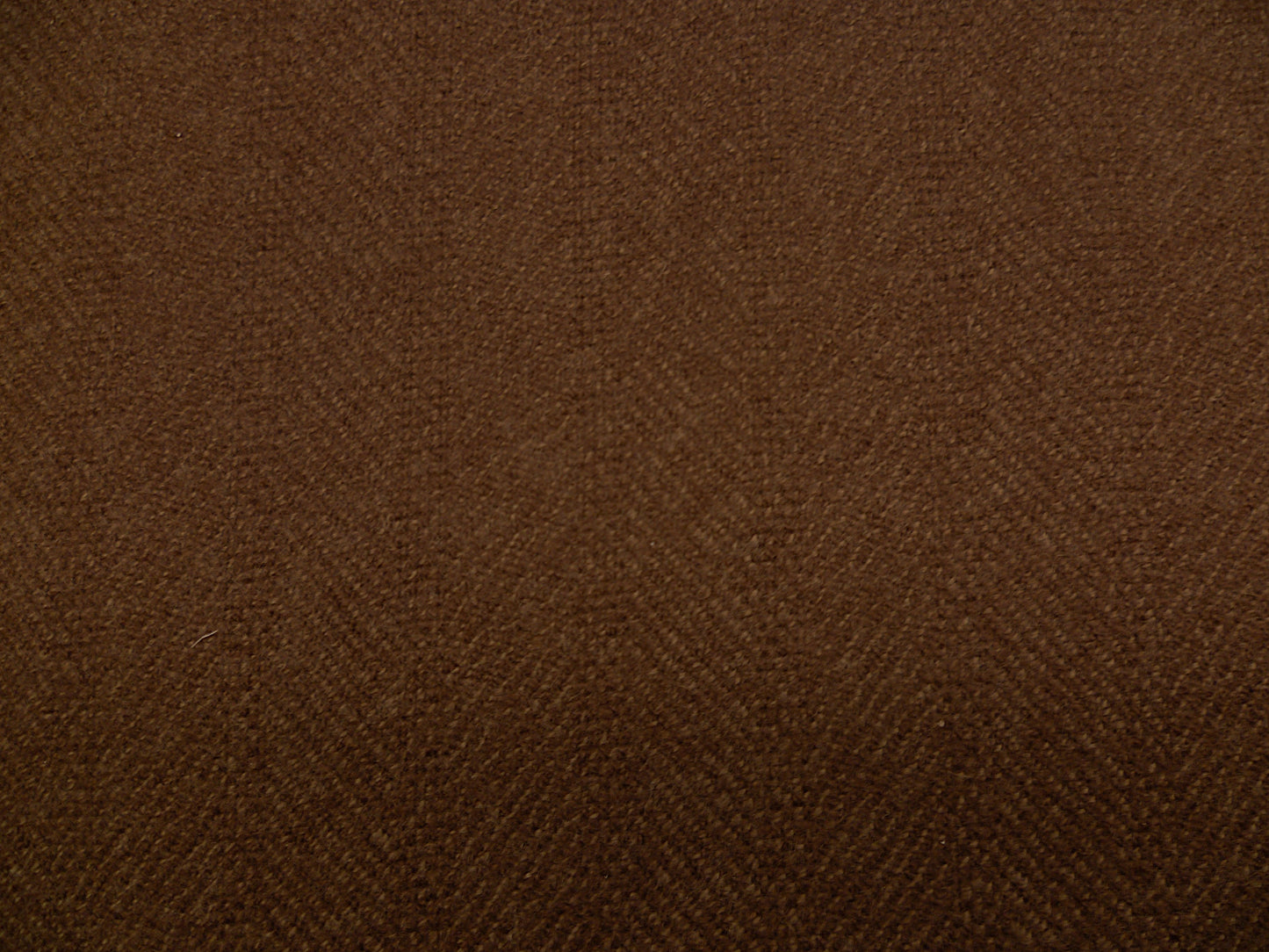 Baby Cashmere ( NEW FOR 2025 )