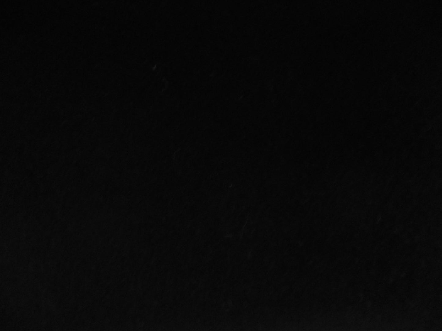 Wool / Cashmere ( NEW 2025 )