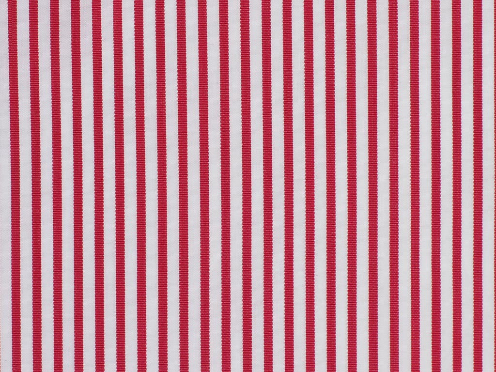 100 % Egyptian Cotton ( NEW )