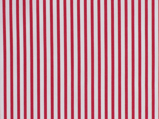 100 % Egyptian Cotton ( NEW )