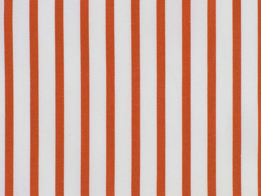 100% Egyptian Cotton ( NEW )