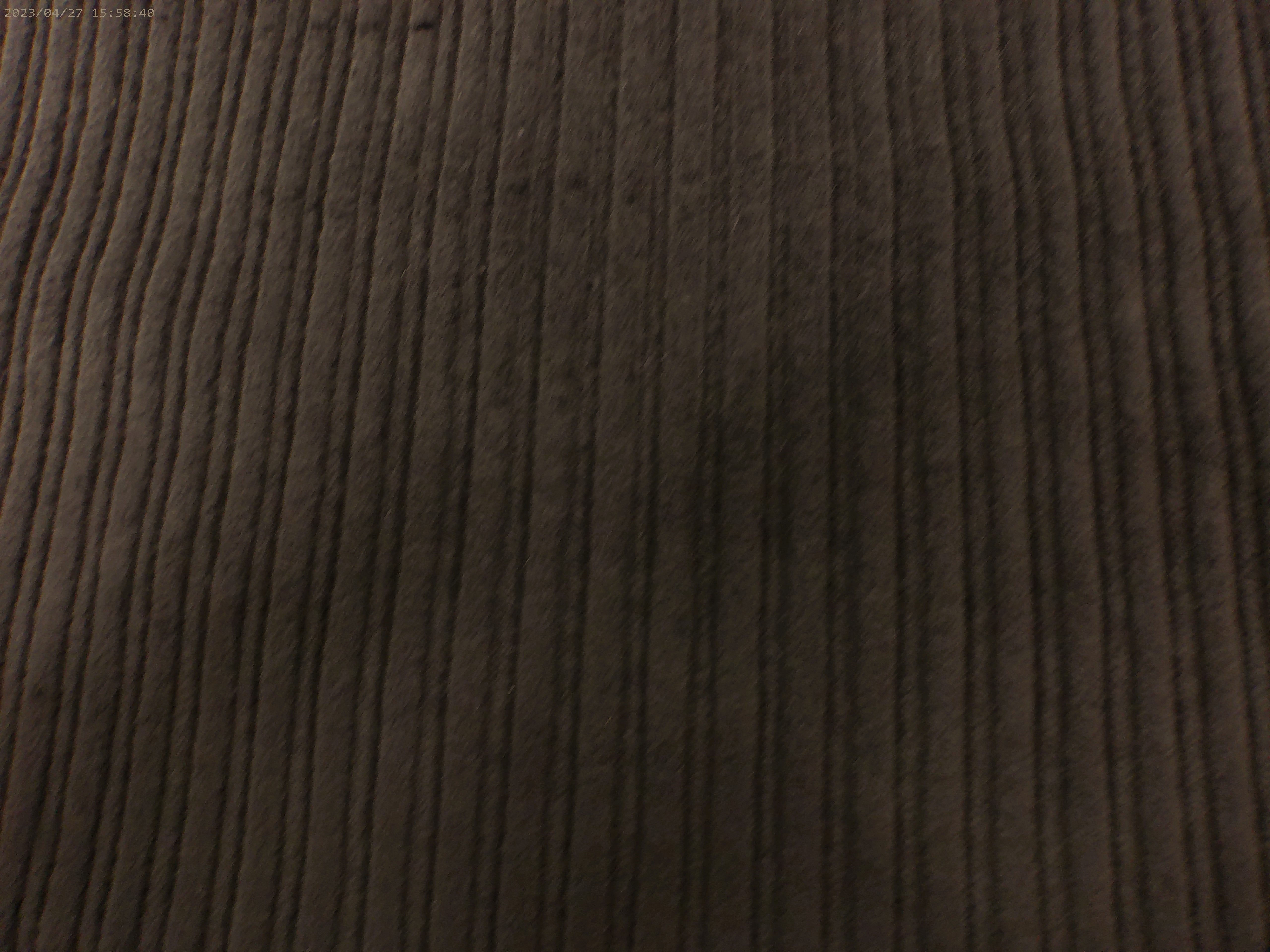 Cotton Corduroy ( NEW 2026 )