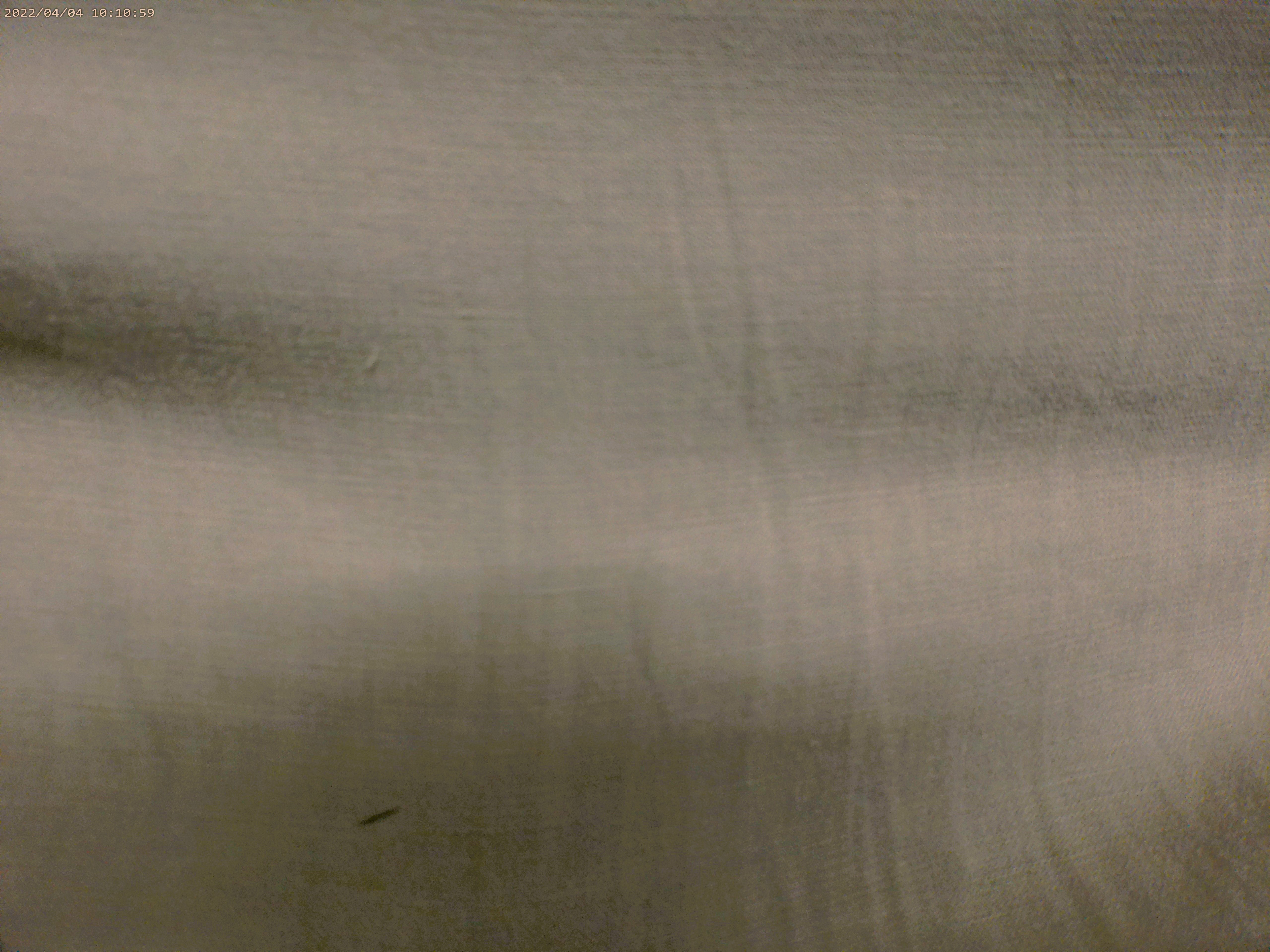 Aniquata Silk-Linen ( NEW 2025 )