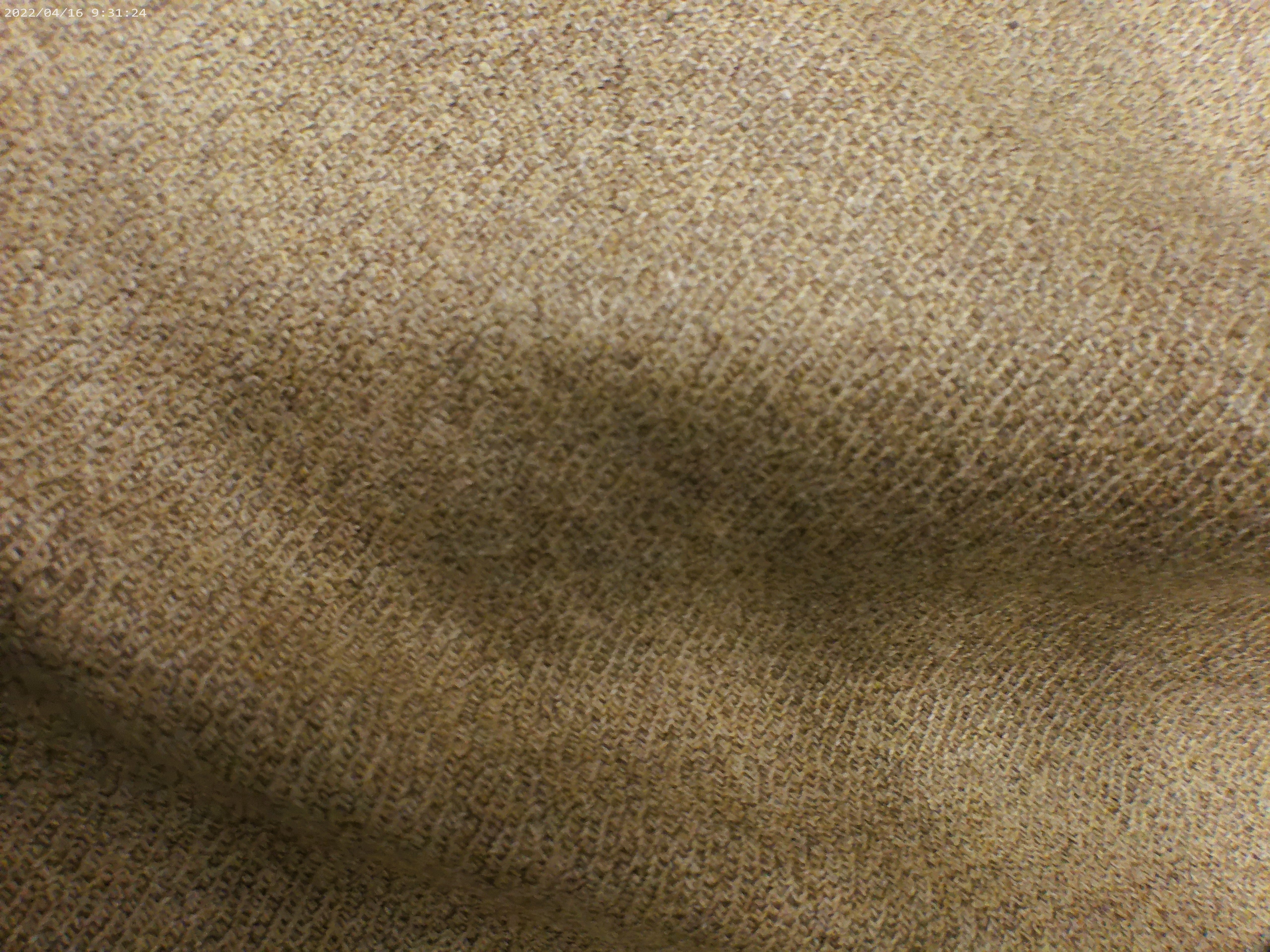 Cashmere-Vicuna