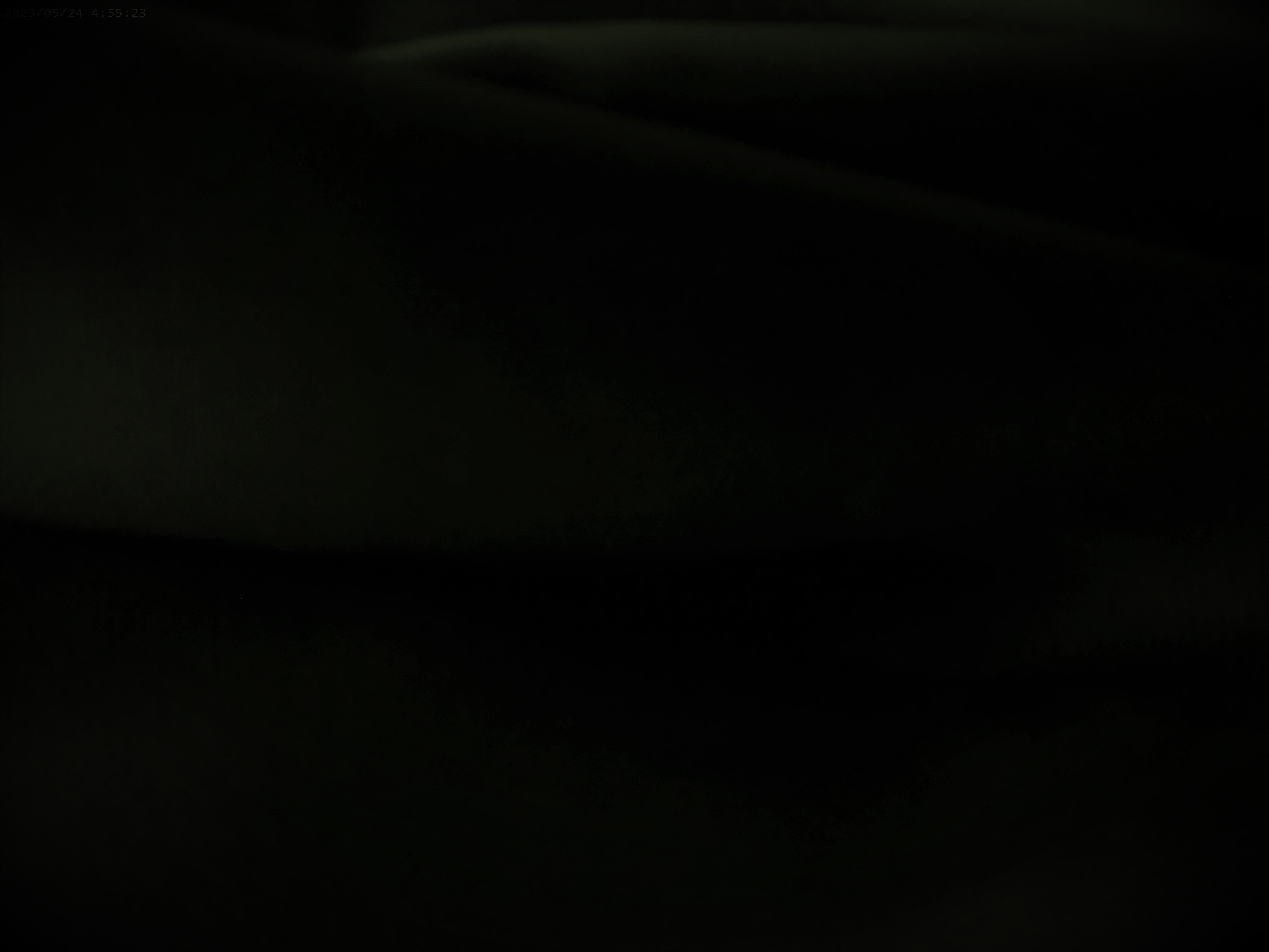 100 % Egyptian cotton ( NEW  )