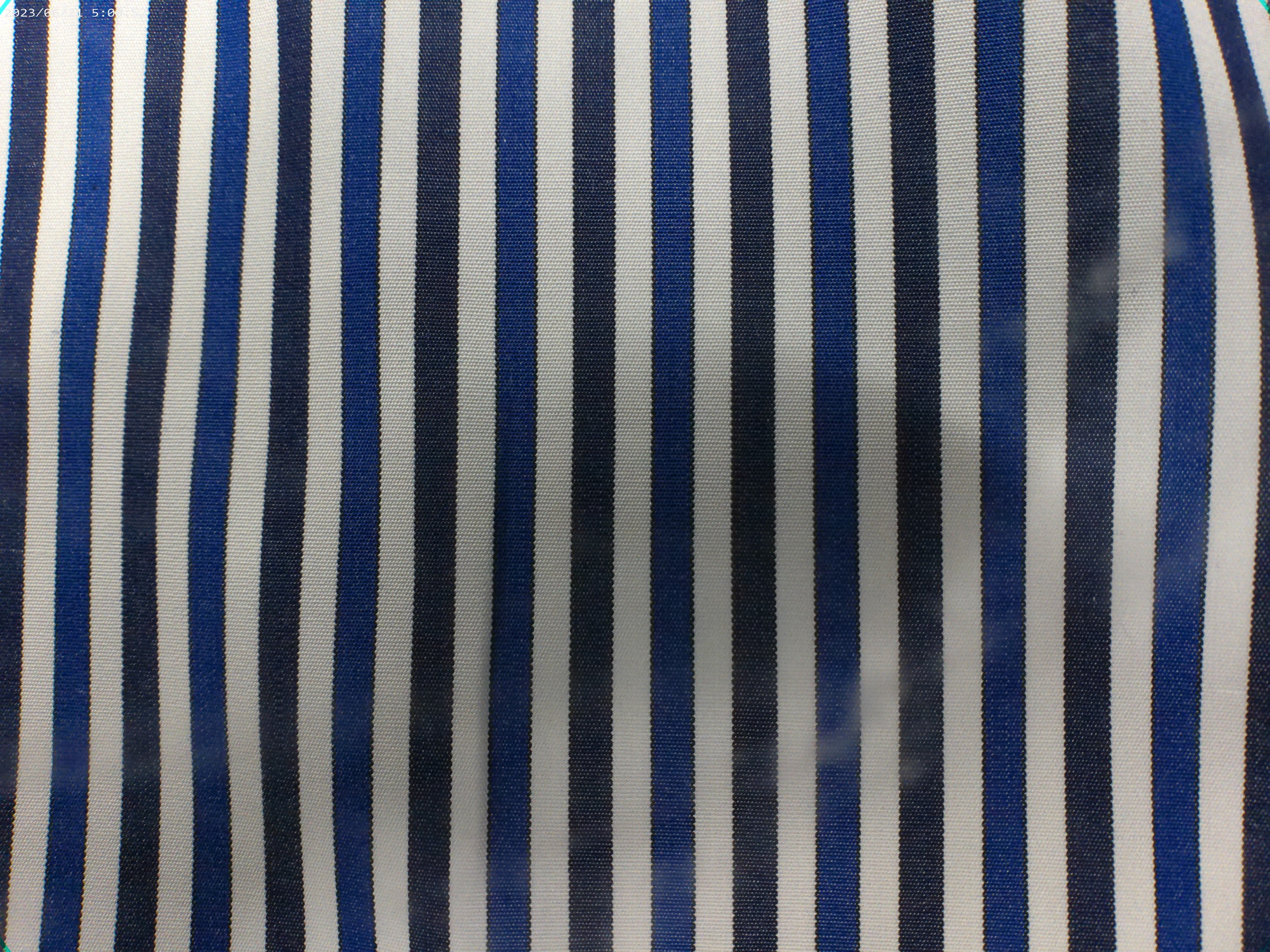 100 % Egyptian  Cotton
