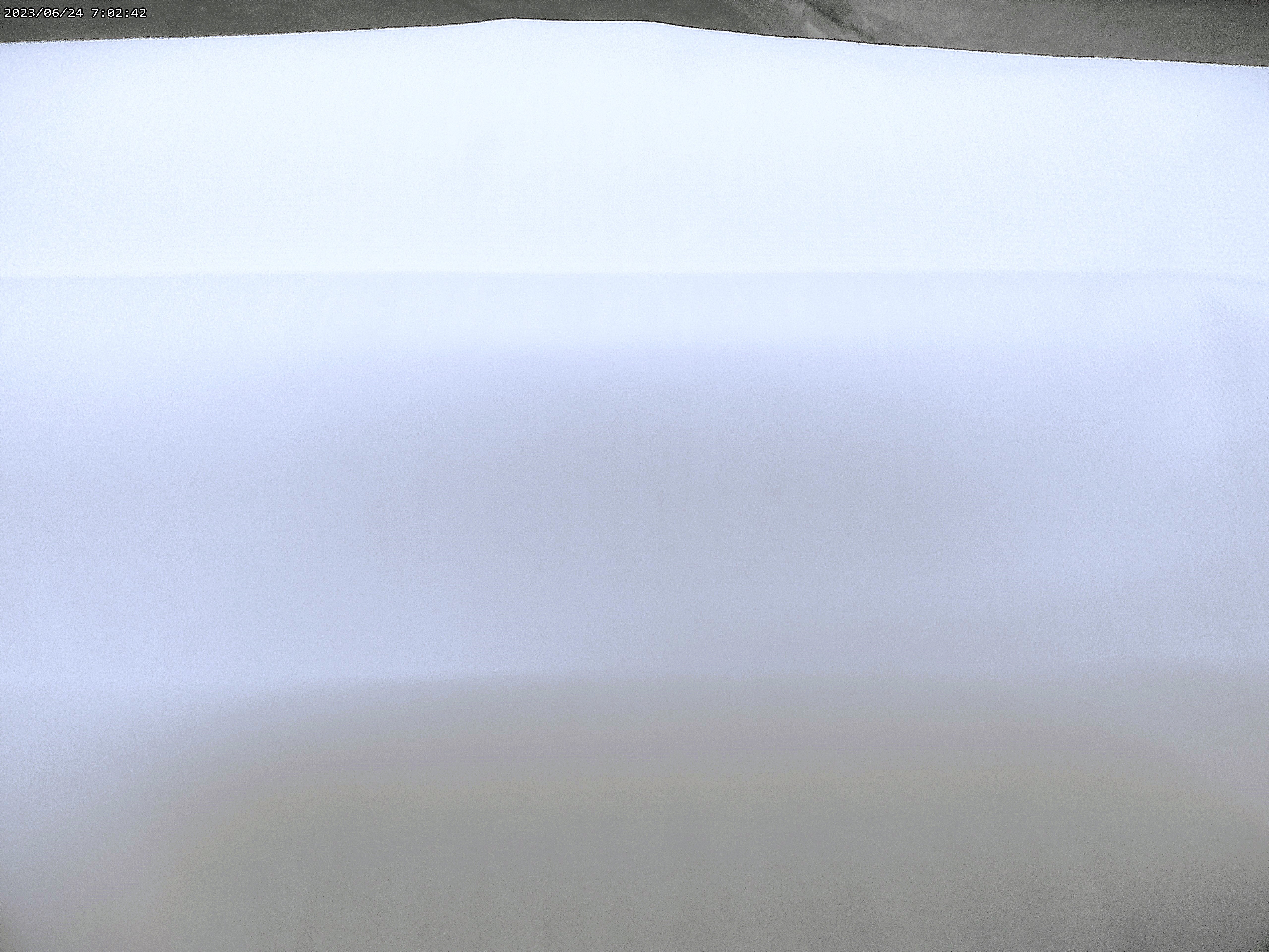 100 % Egyptian cotton ( NEW 2025 )