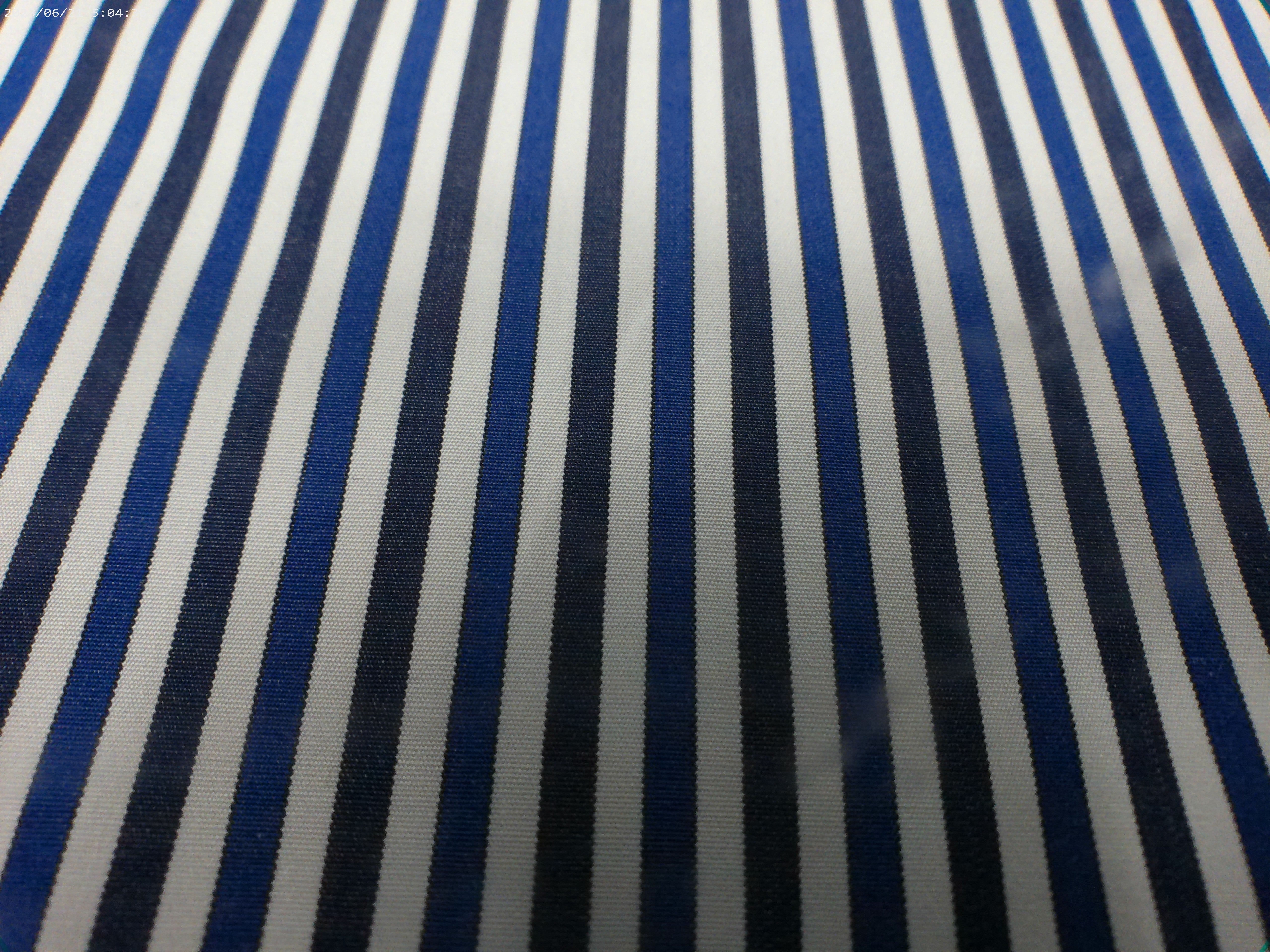 100 % Egyptian  Cotton