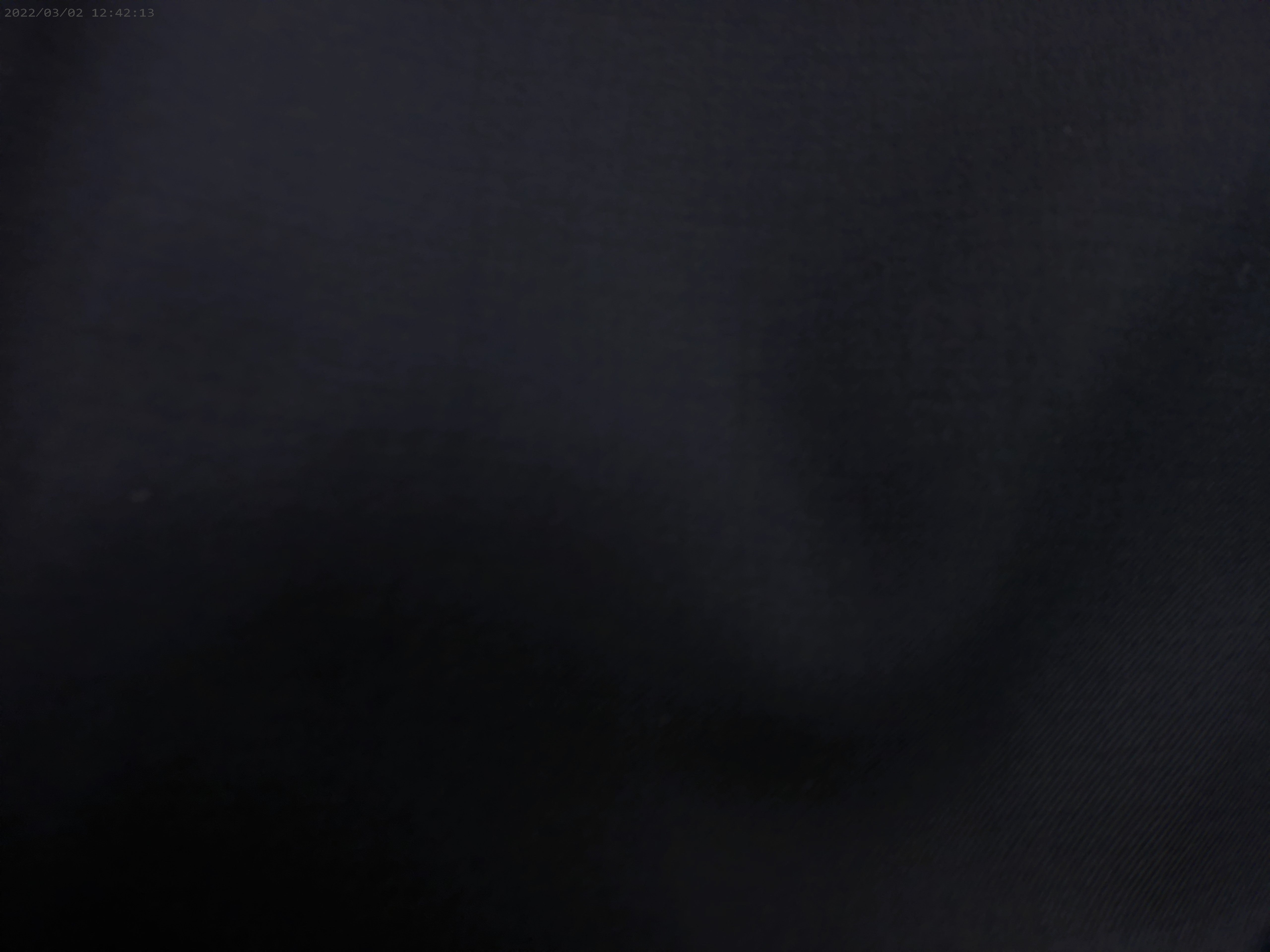 100 % Wool Worsted ( NEW 2025 )
