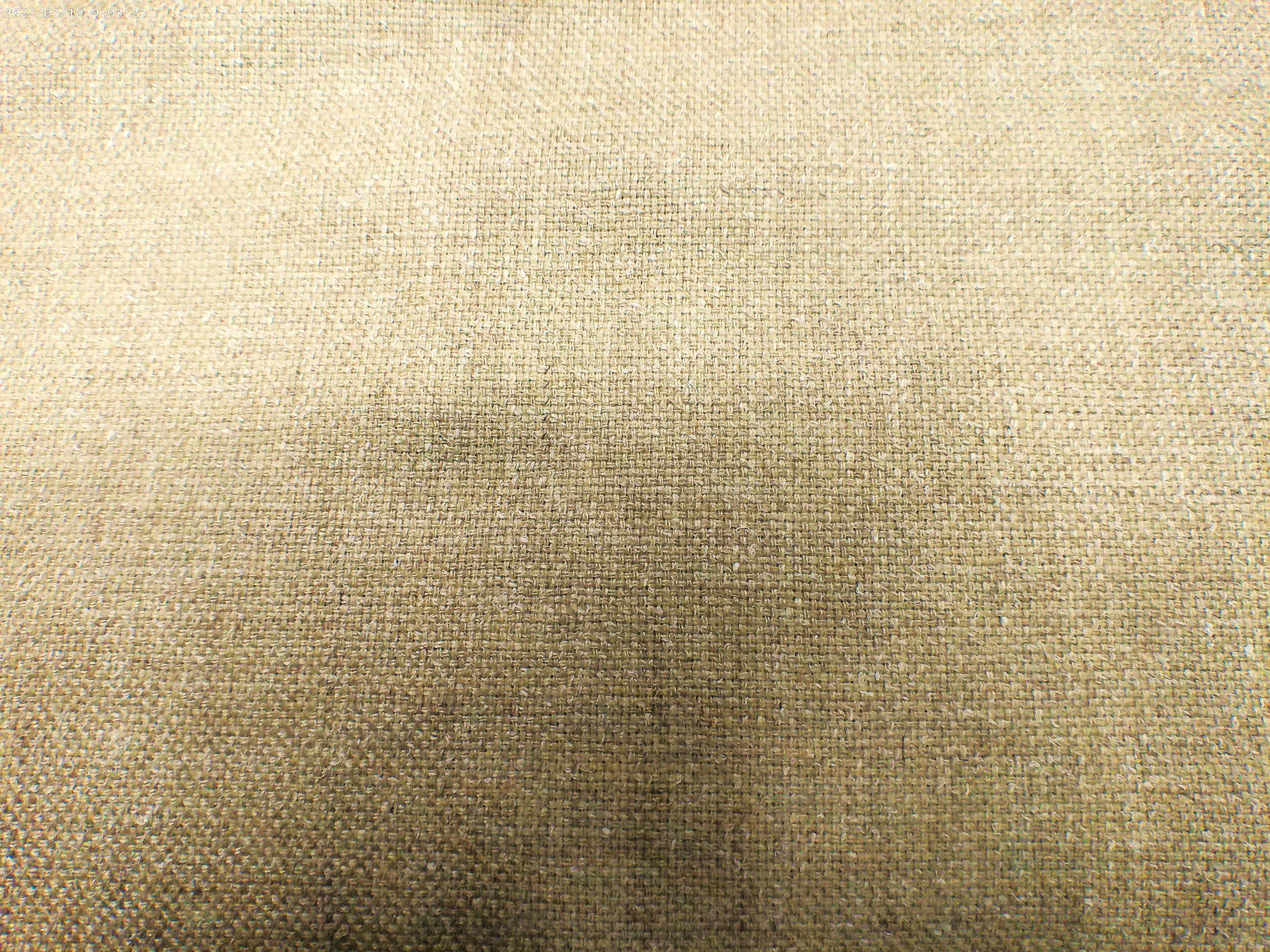 Cashmere-Vicuna ( NEW 2025 )