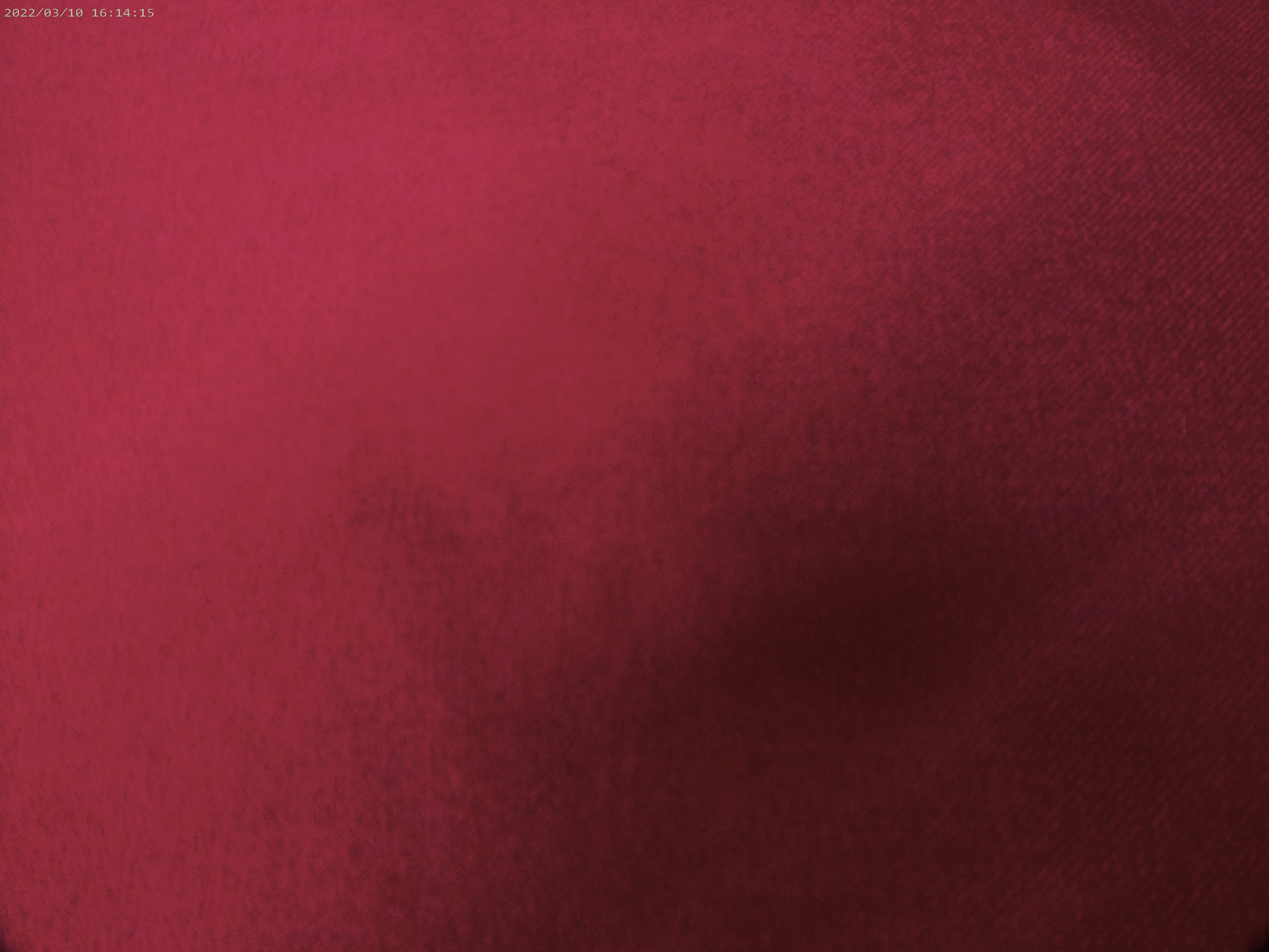 Cashmere-Vicuna ( NEW 2025 )