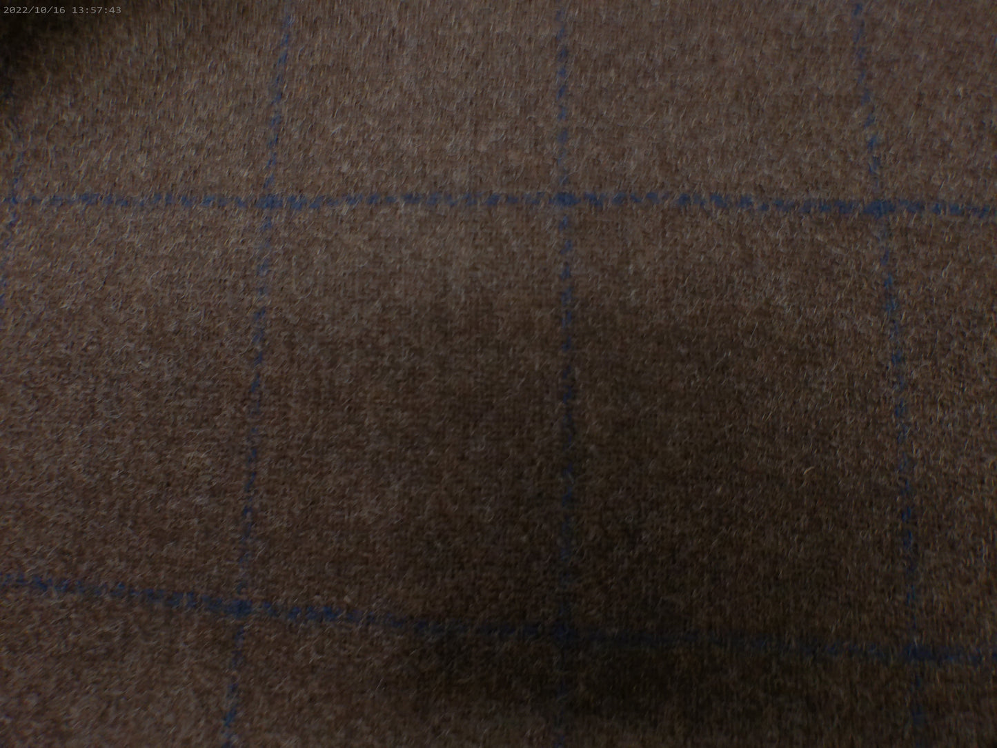 100 % Wool ( NEW 2026 )