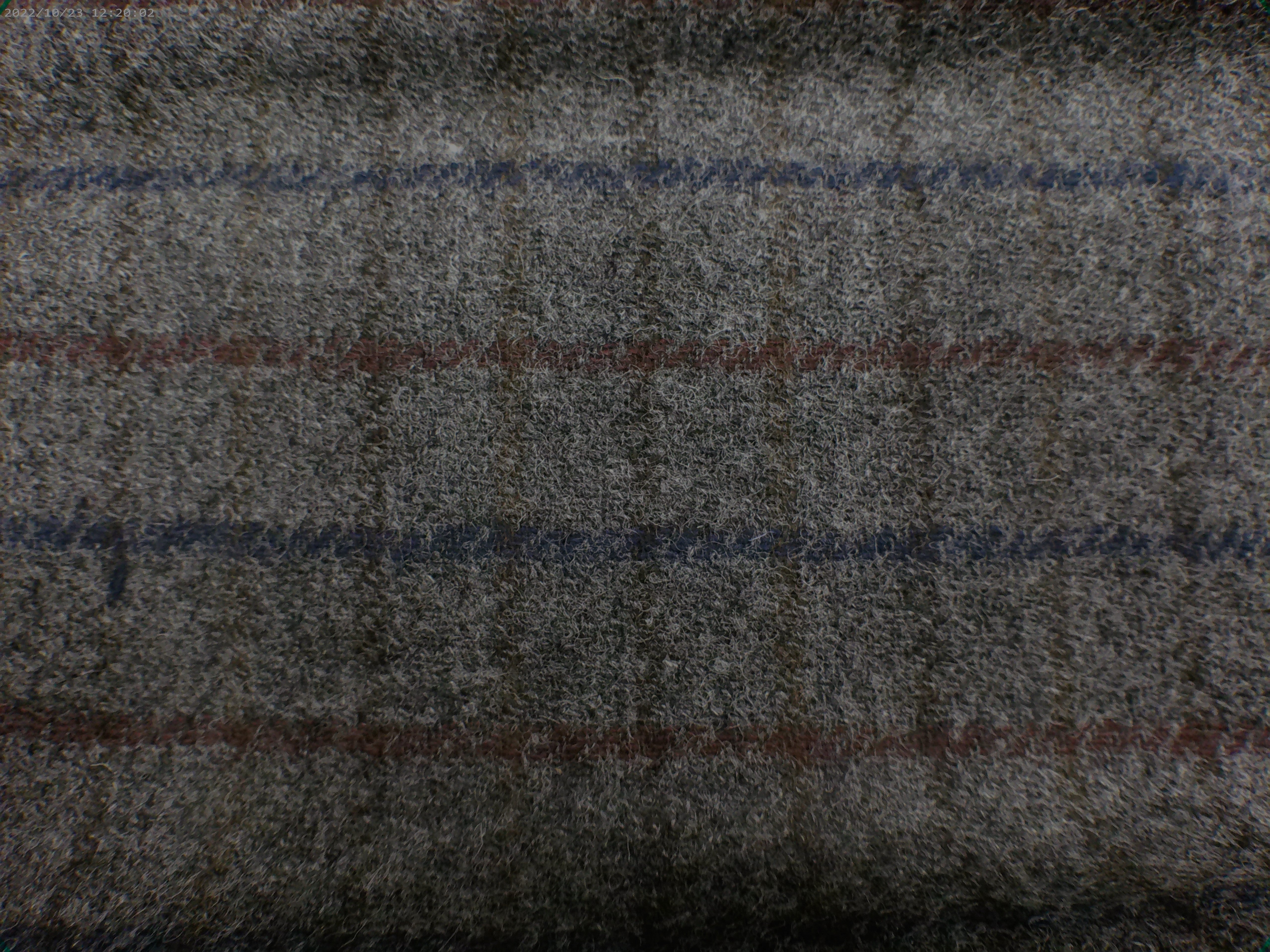 100 % Wool ( NEW 2026 )
