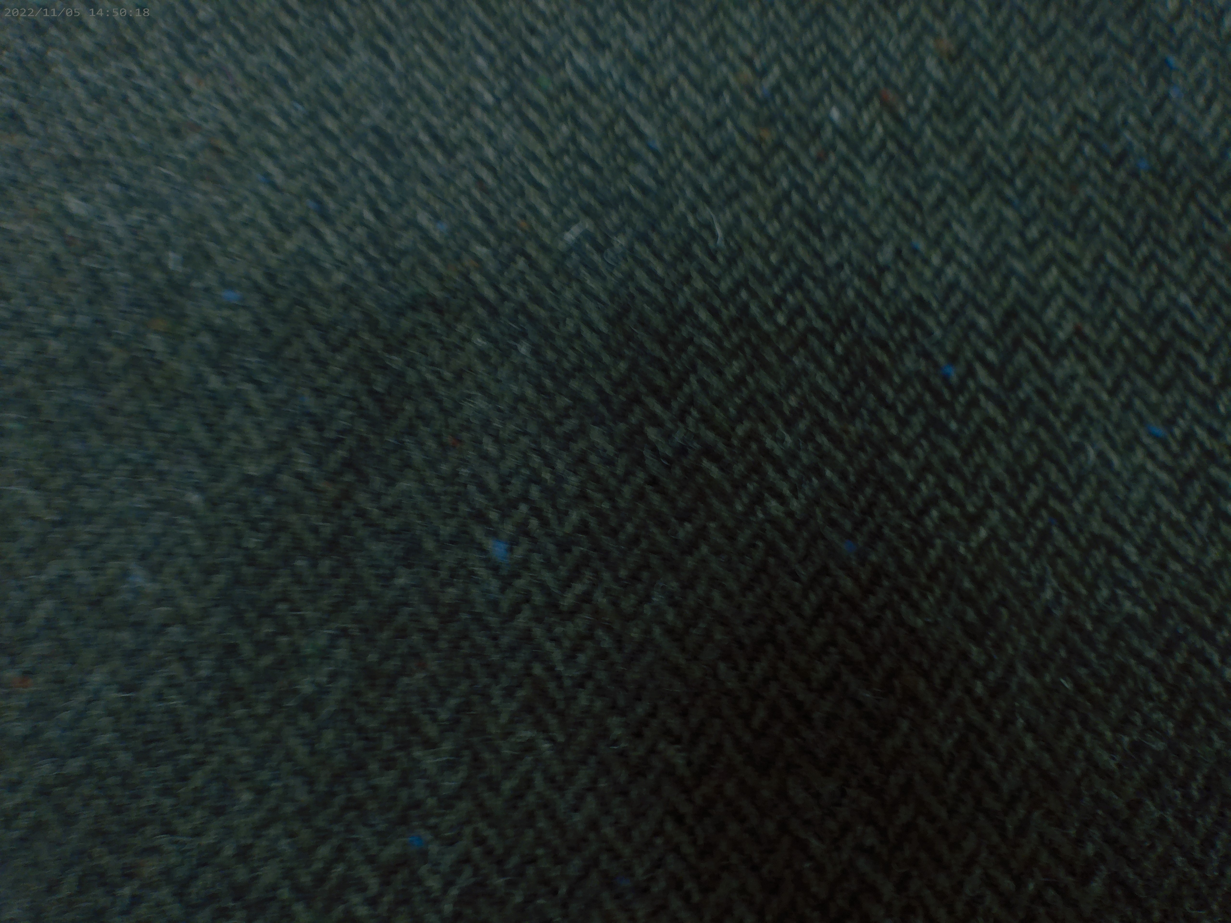 Wool ( NEW 2026 )
