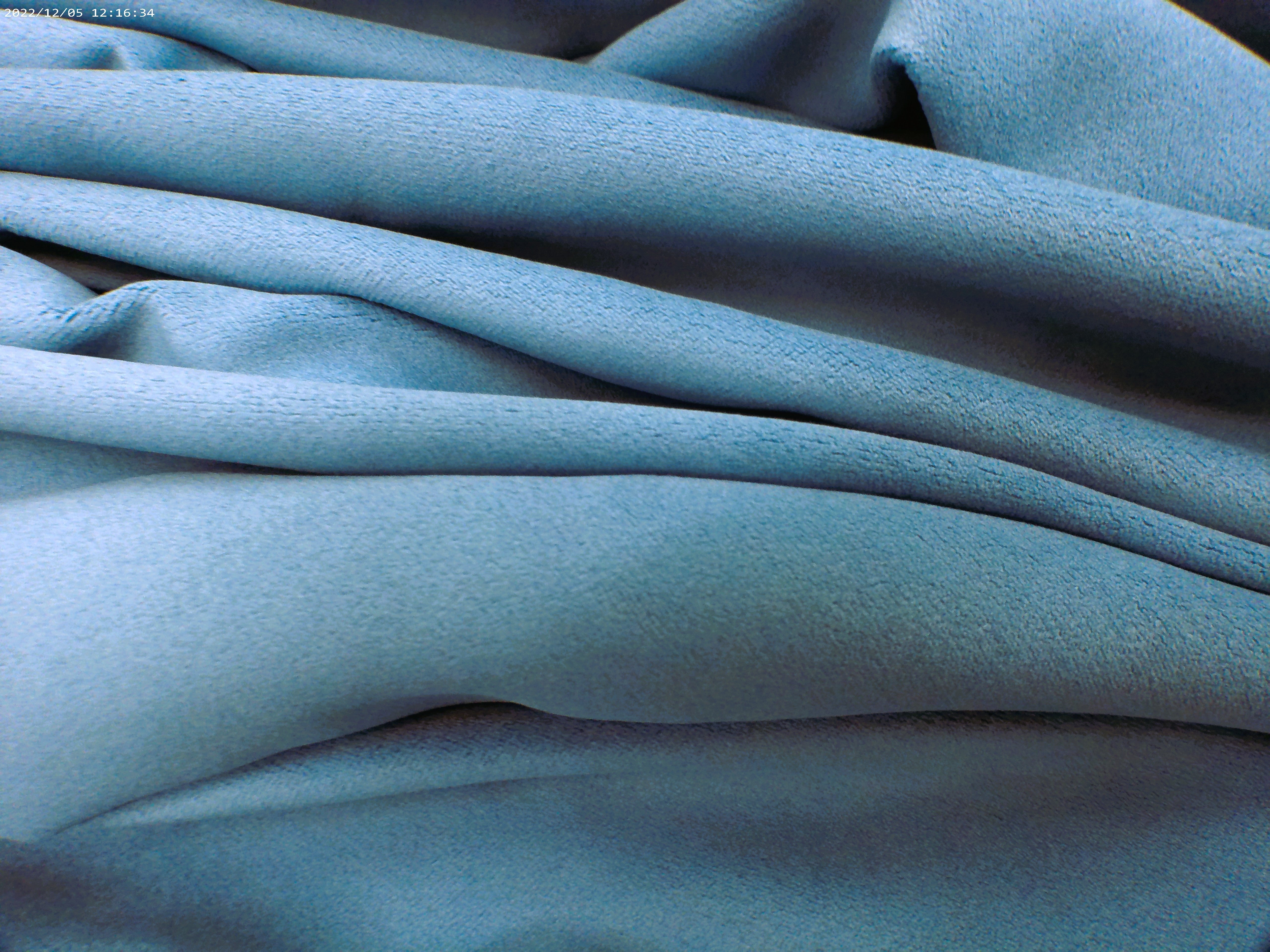 Cotton Velvet ( NEW 2026 )