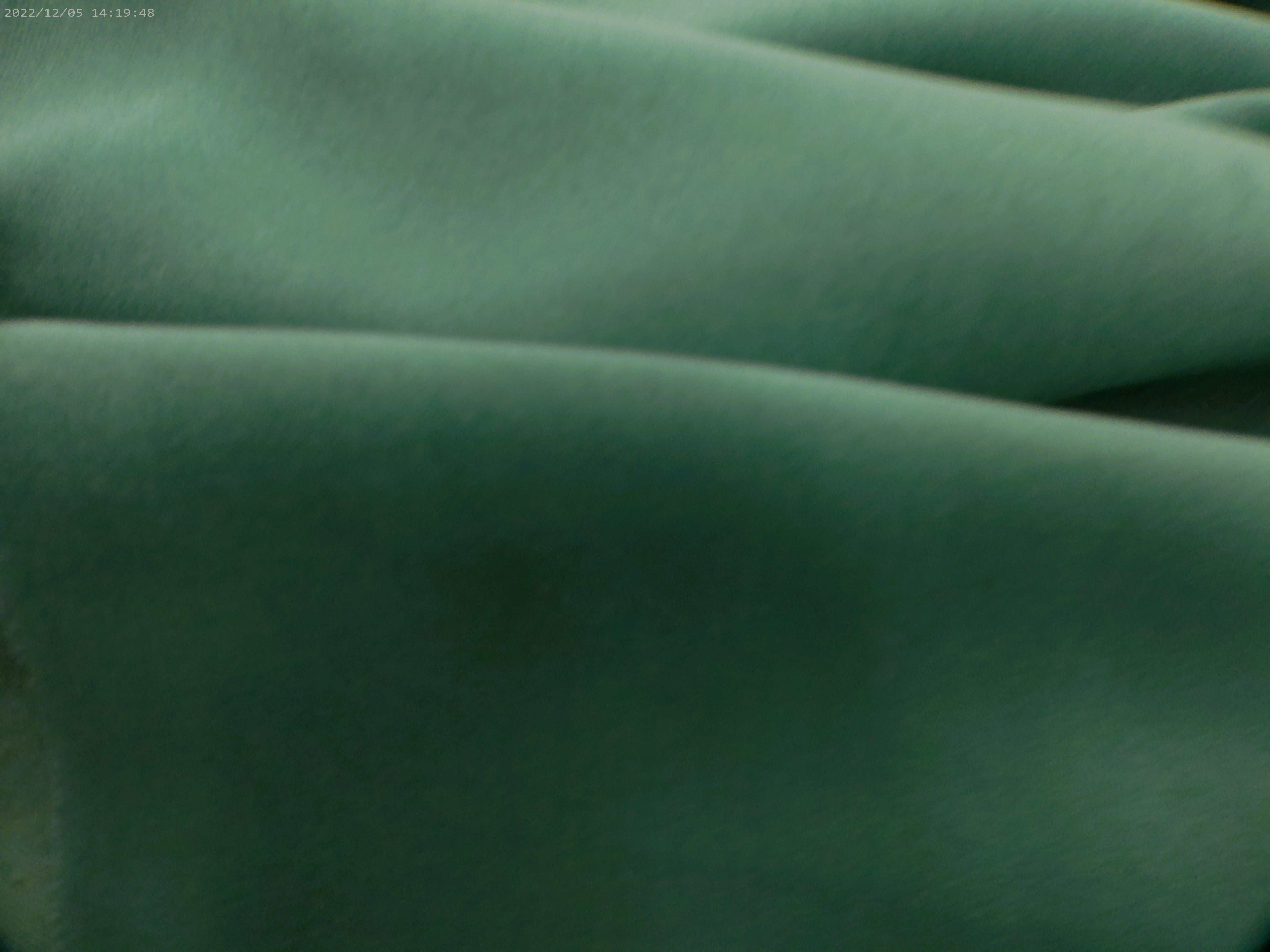 Cotton Velvet ( NEW 2026 )