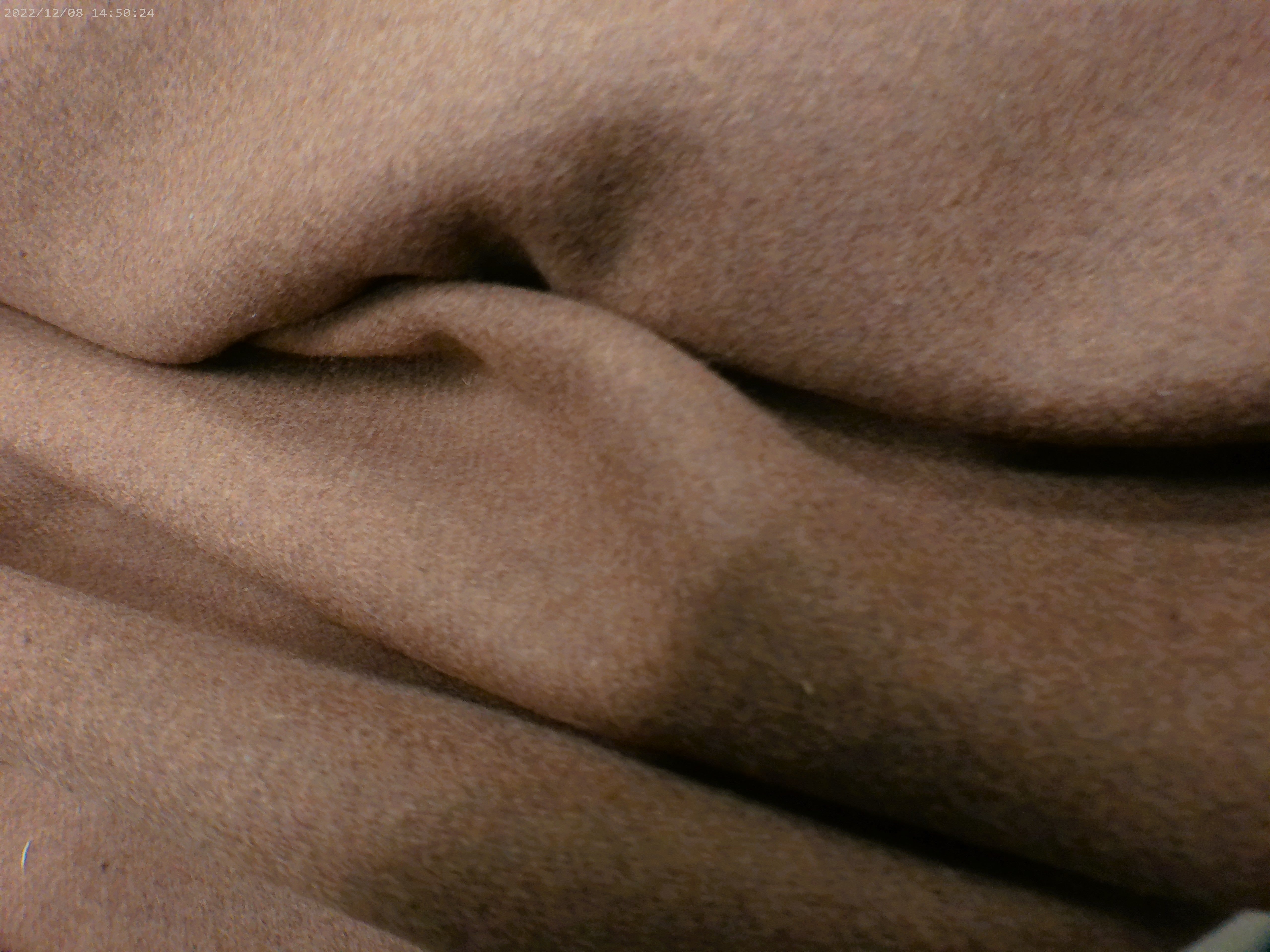 Cashmere-Wool ( NEW 2026 )