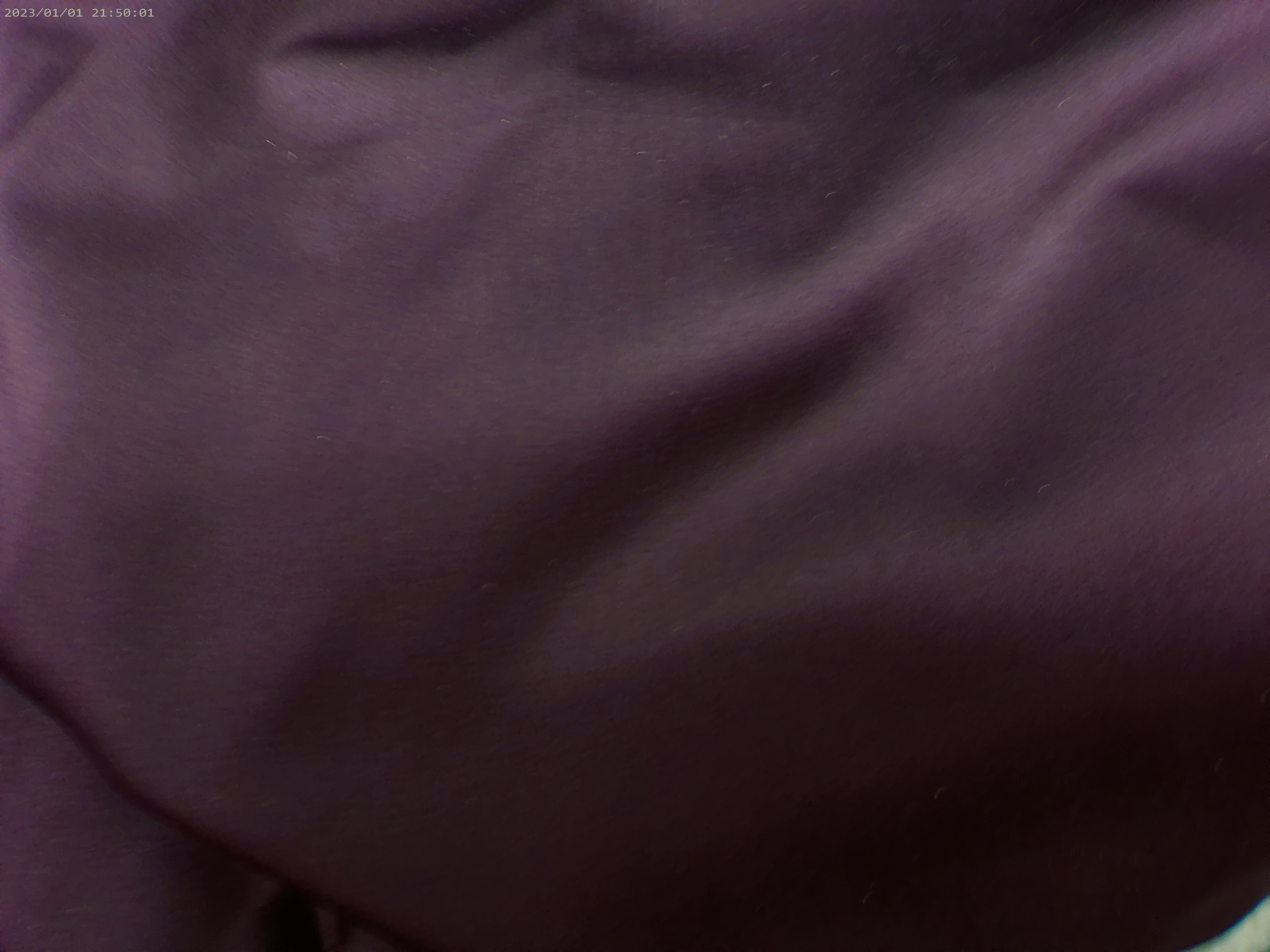 100 % Egyptian Cotton ( NEW 2026 )