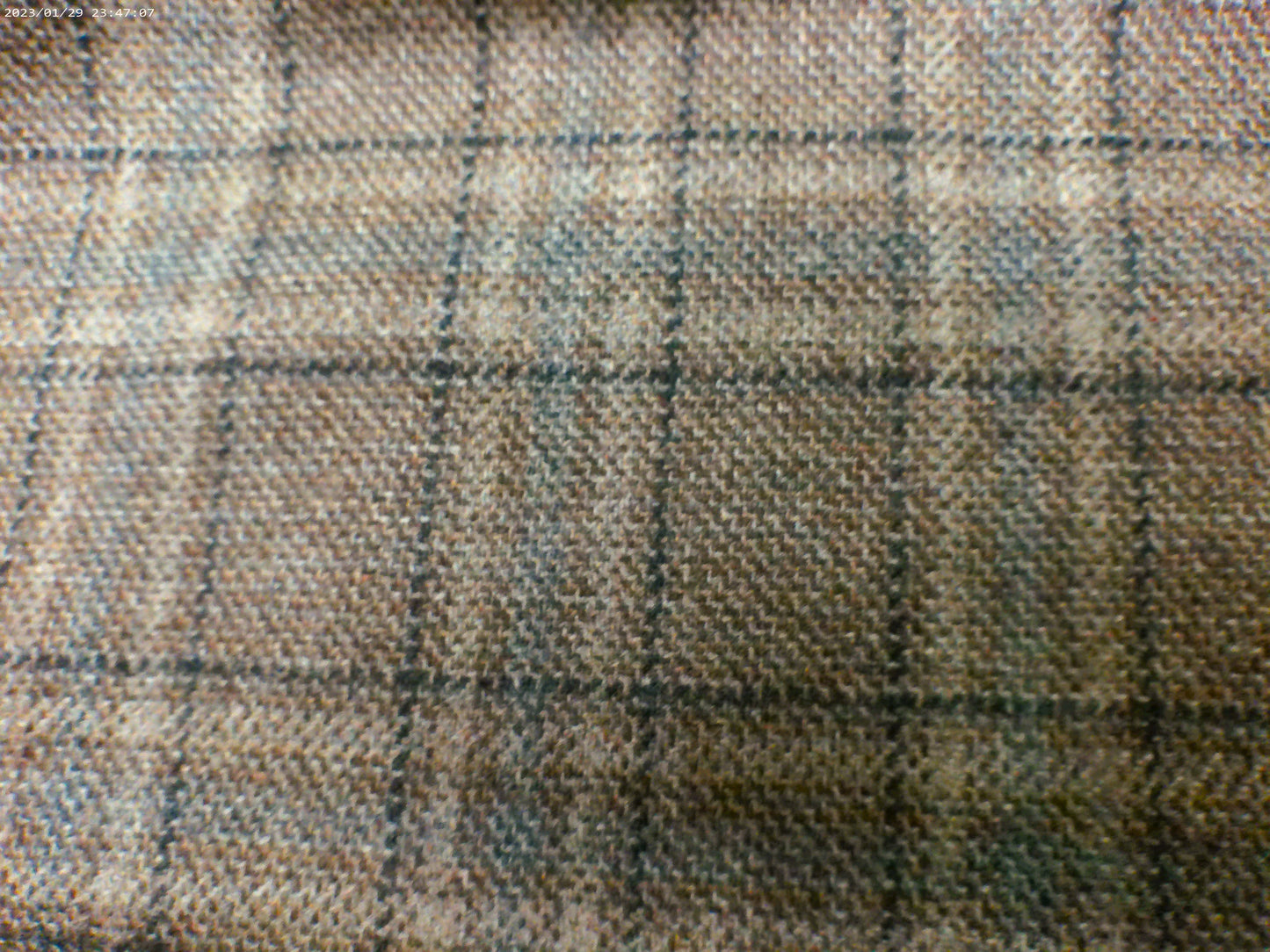 Cashmere ( NEW 2026 )