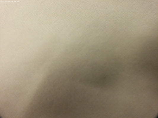 100 % Wool ( NEW 2026 )