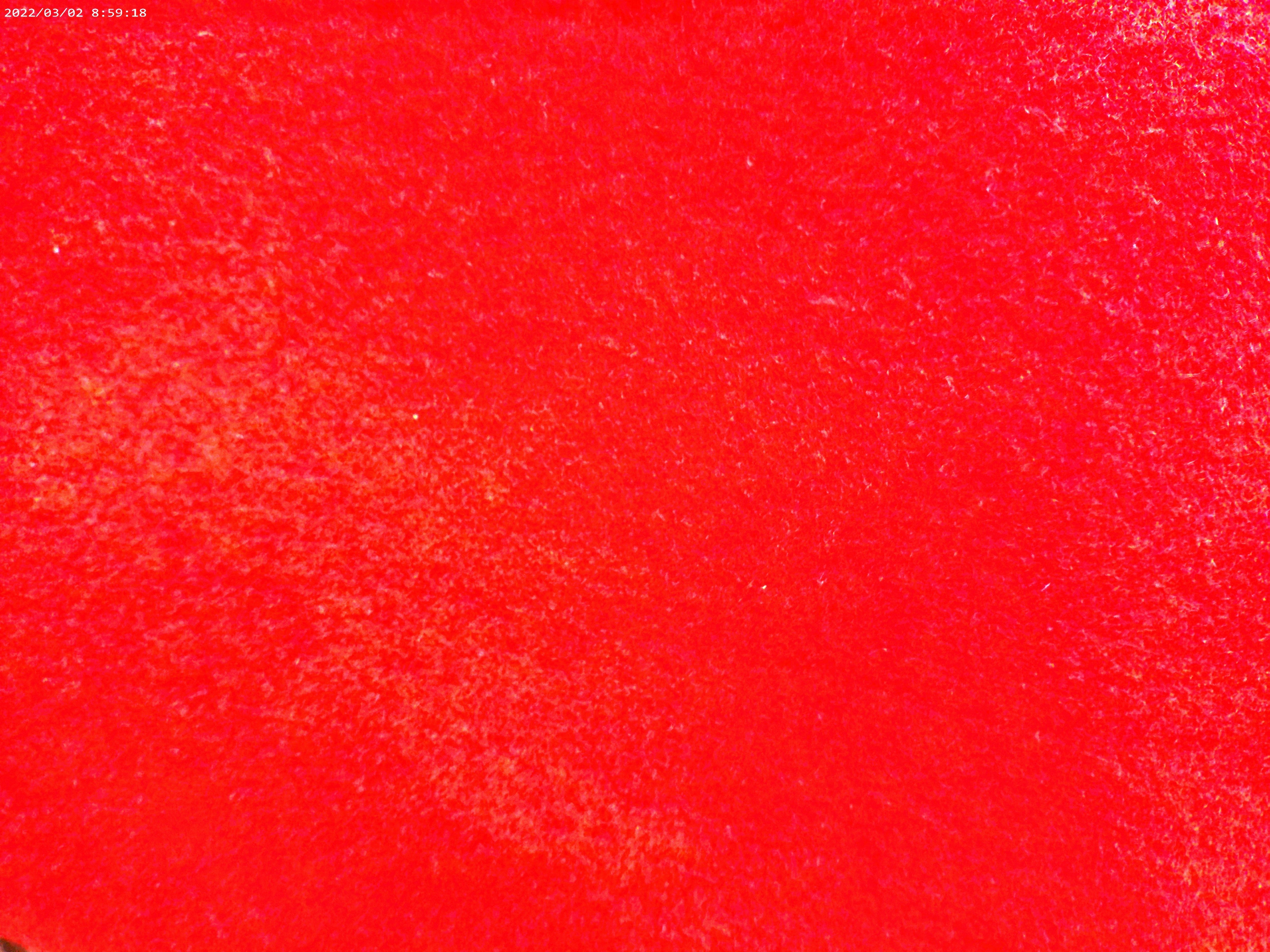 Wool-Cashmere blend ( NEW 2024 )