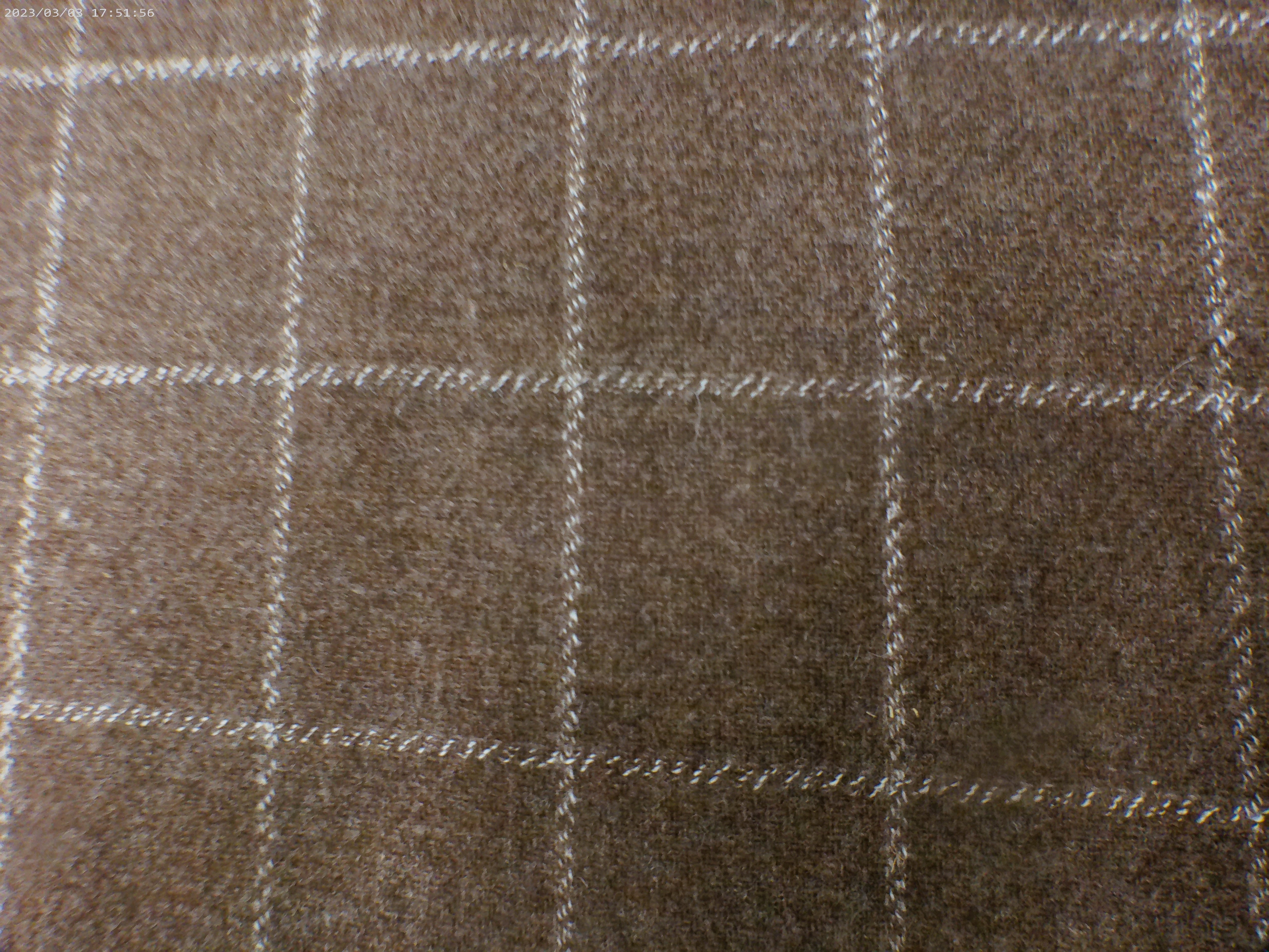 Wool ( NEW 2026 )