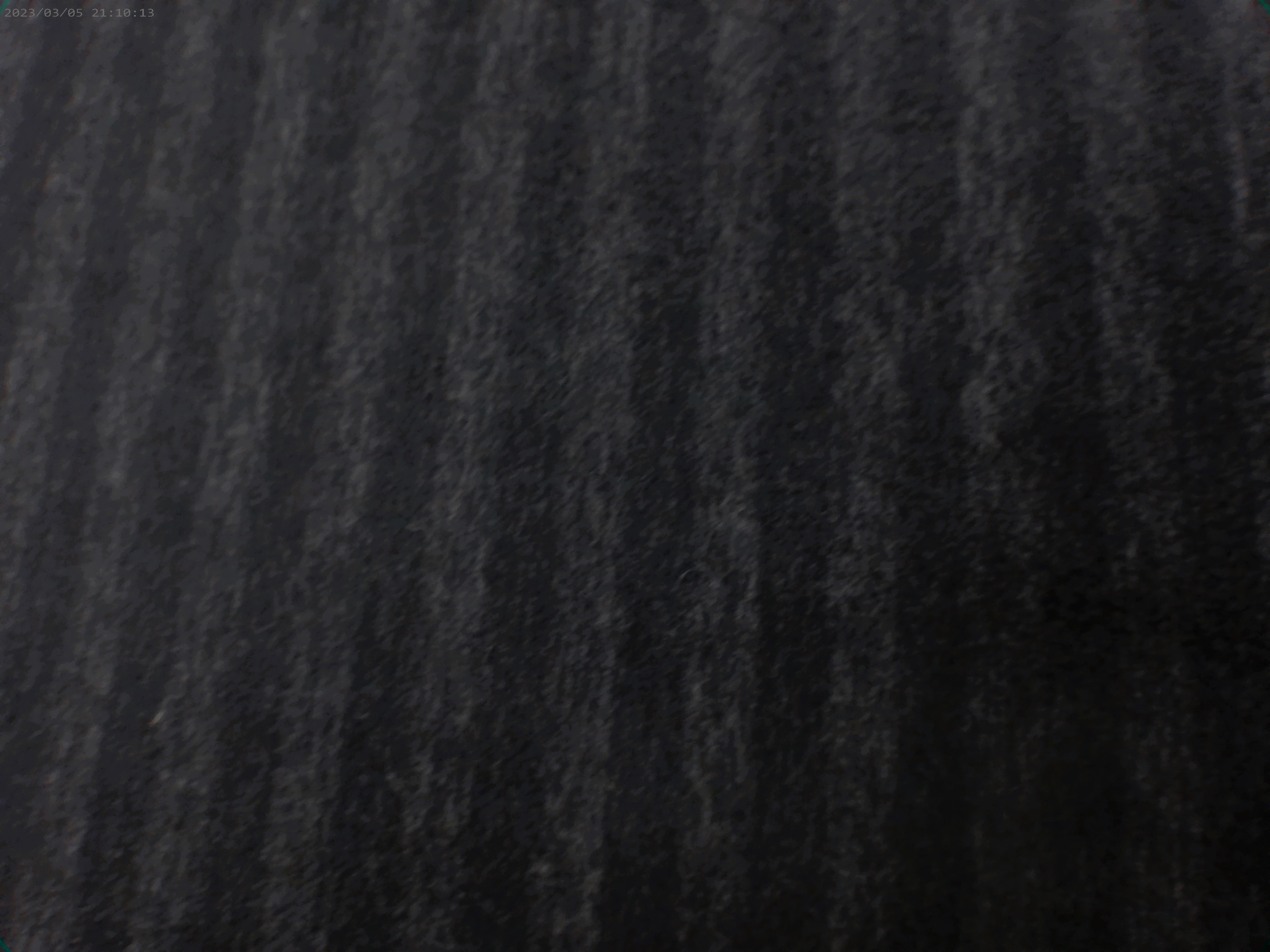 Wool/Cashmere ( NEW 2026 )