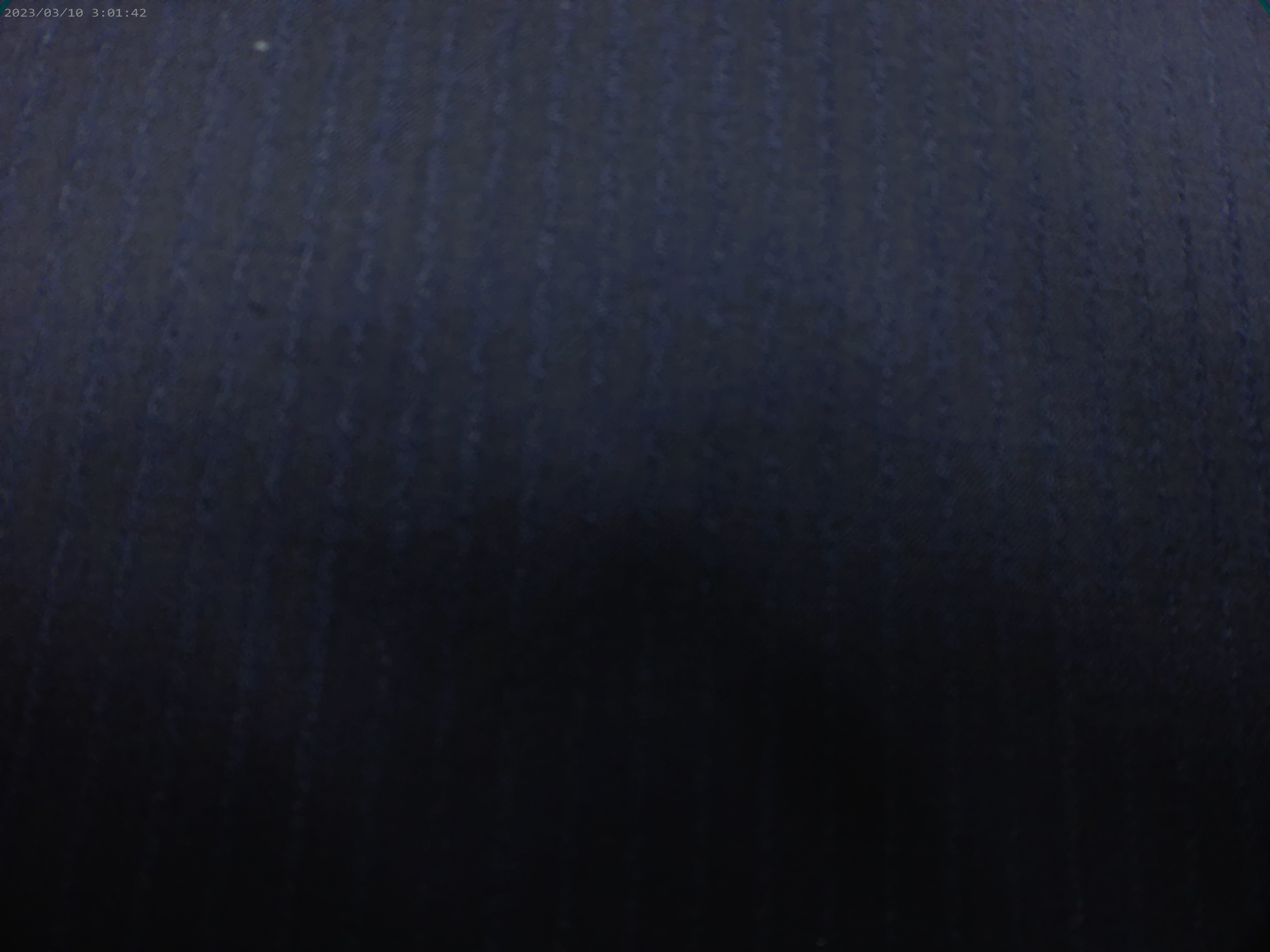 Wool Blend (  Clearance for 2026 )