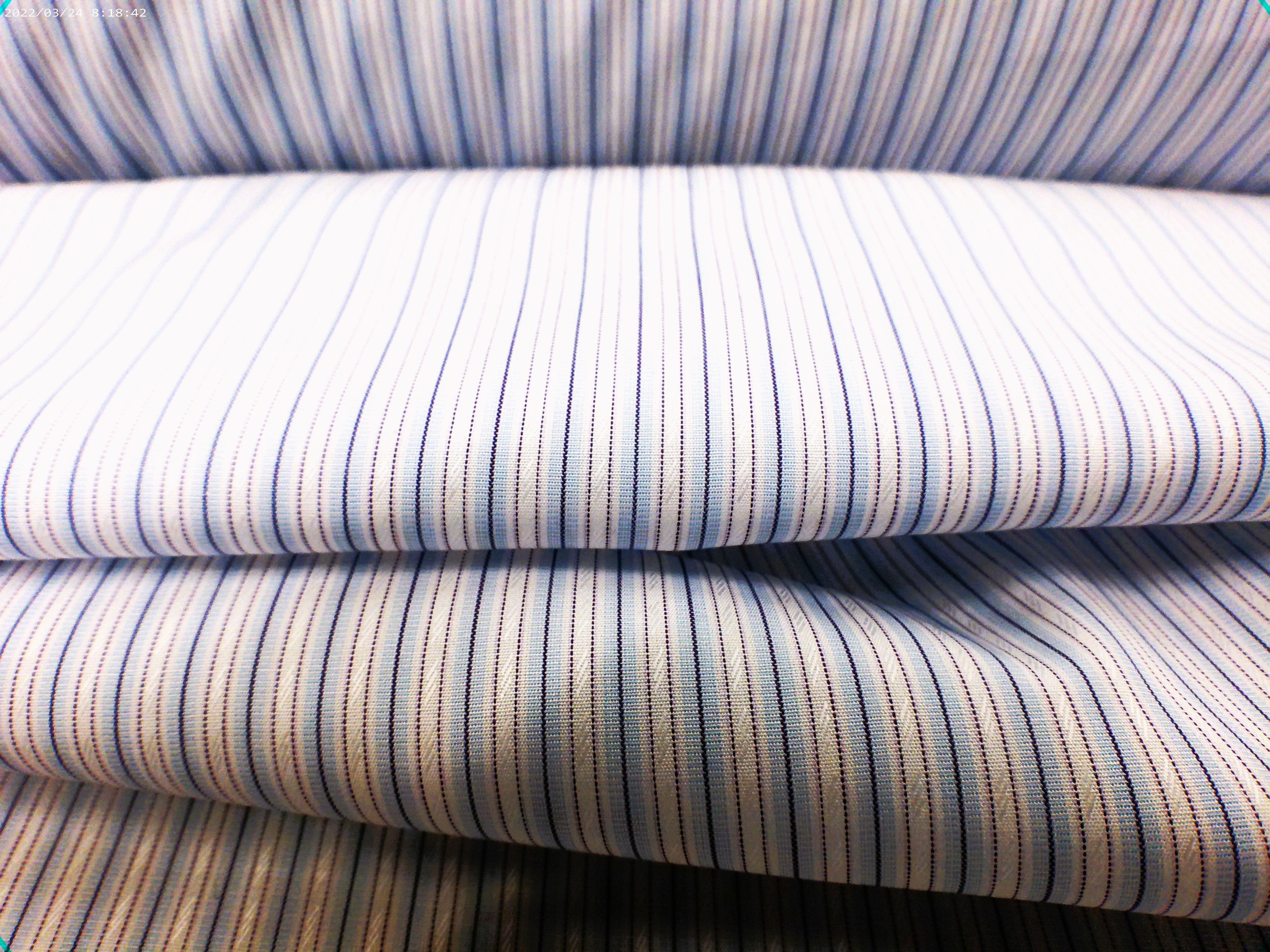 100 % Egyptian cotton ( NEW )
