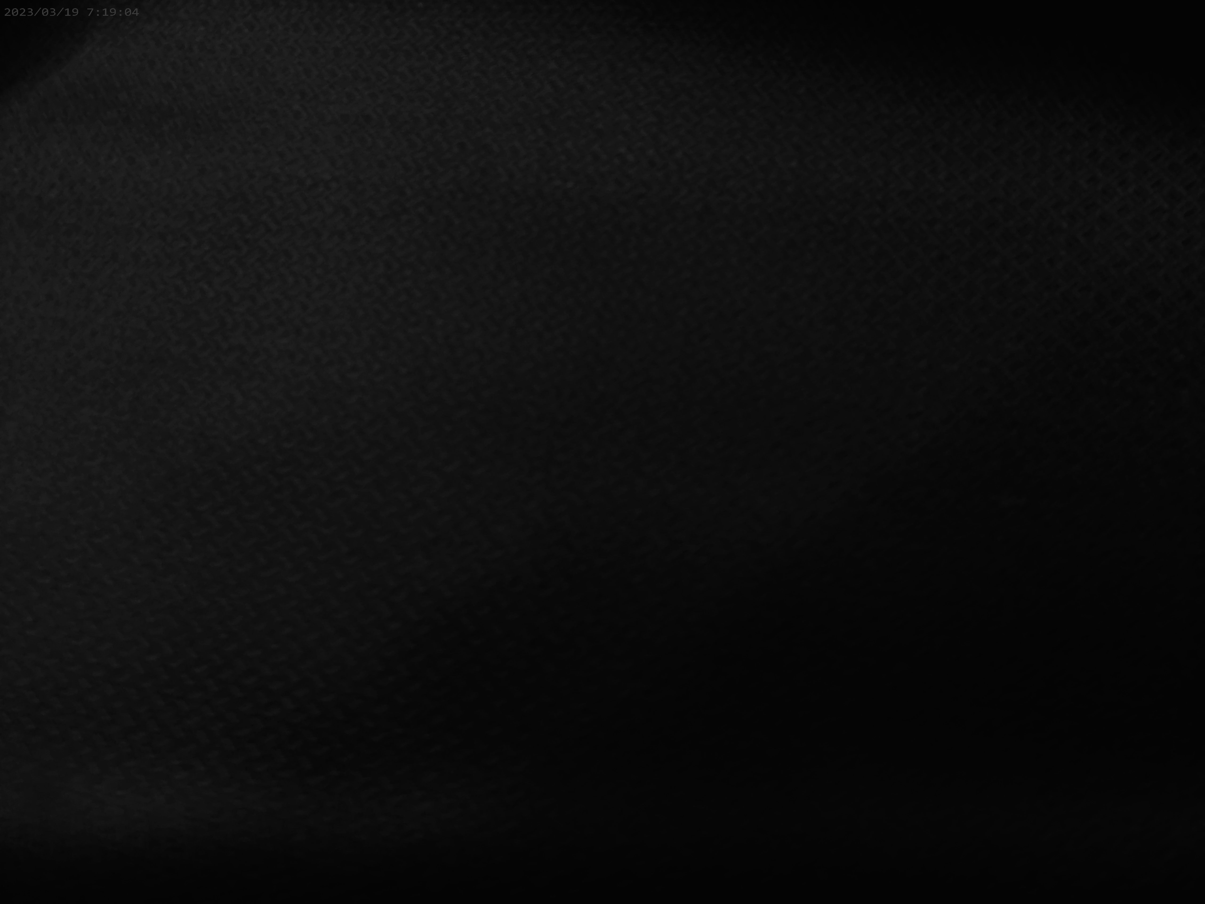 100 % Wool Worsted ( NEW 2026 )