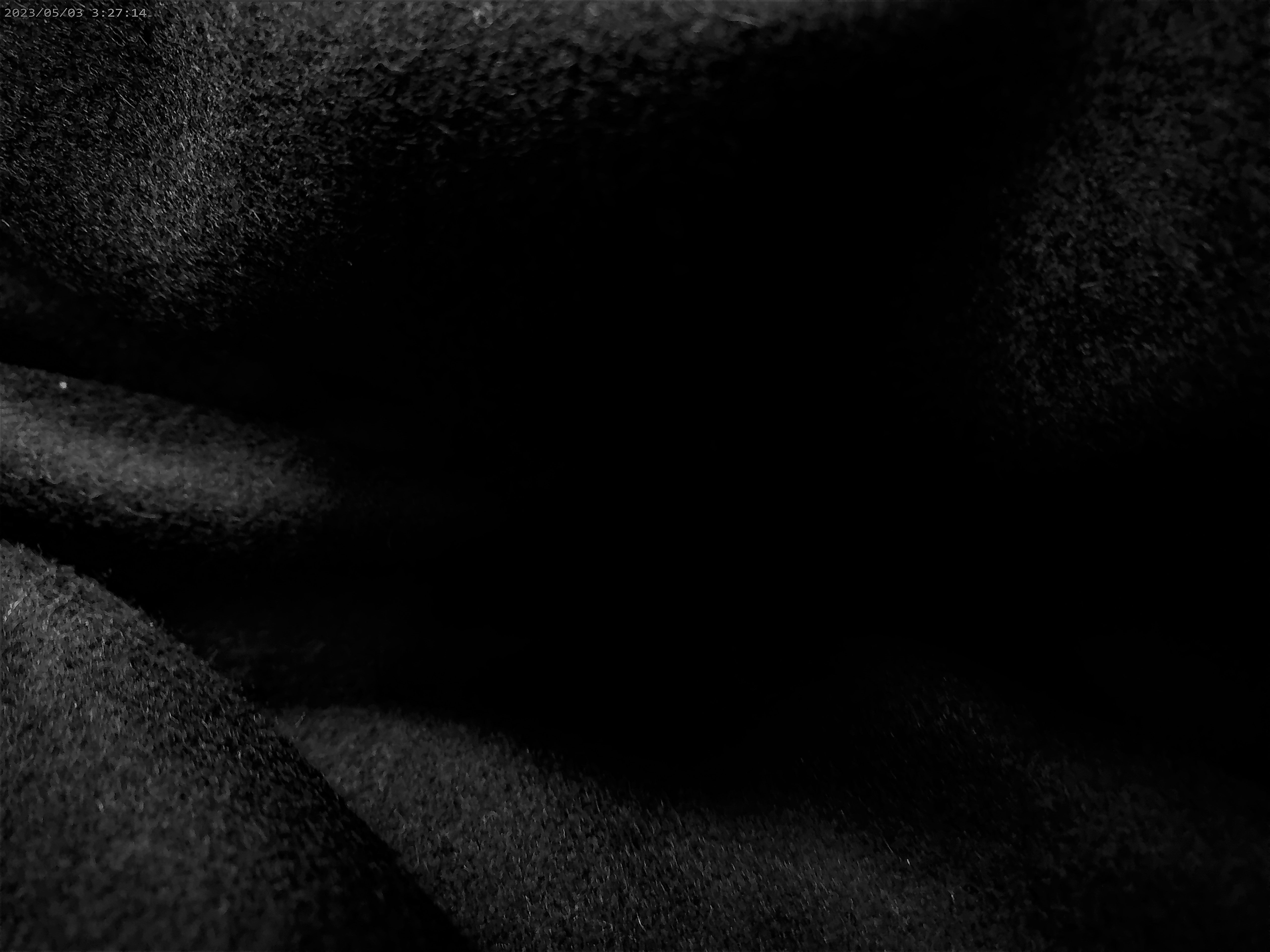 Black Plain Wool Coating