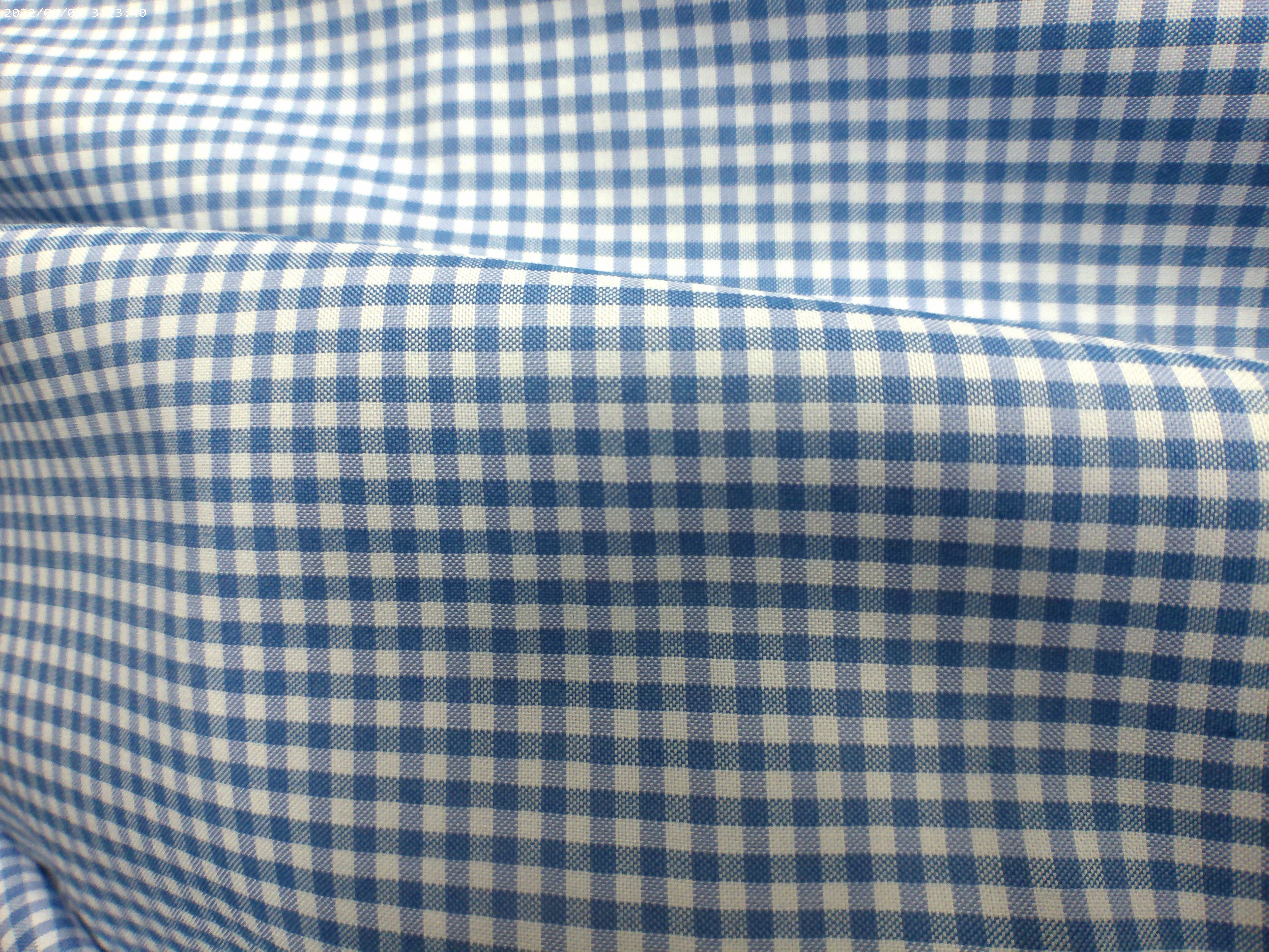 Blue White Check Cotton Shirting 