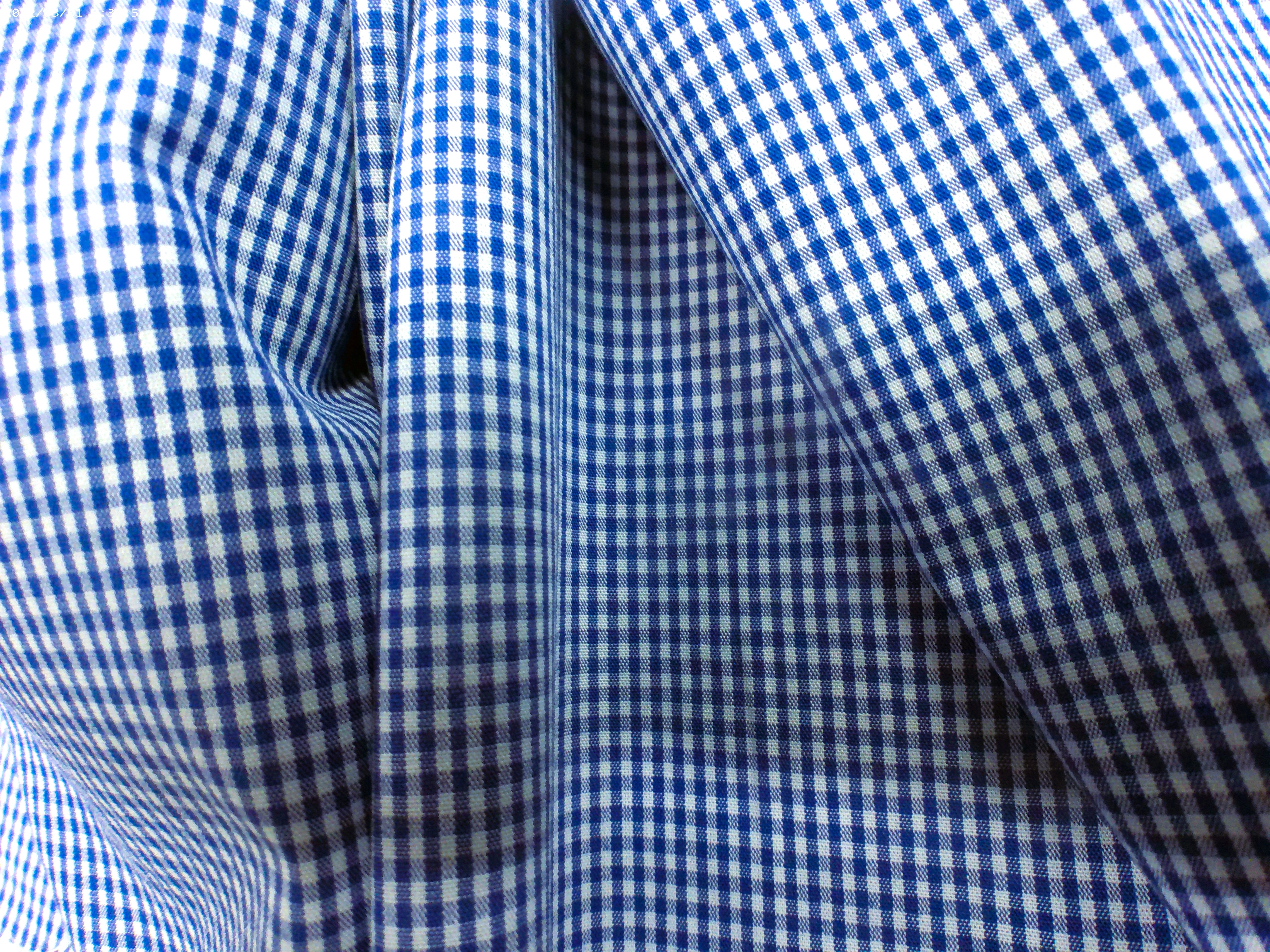 Blue White Check Egyptian Cotton Shirting
