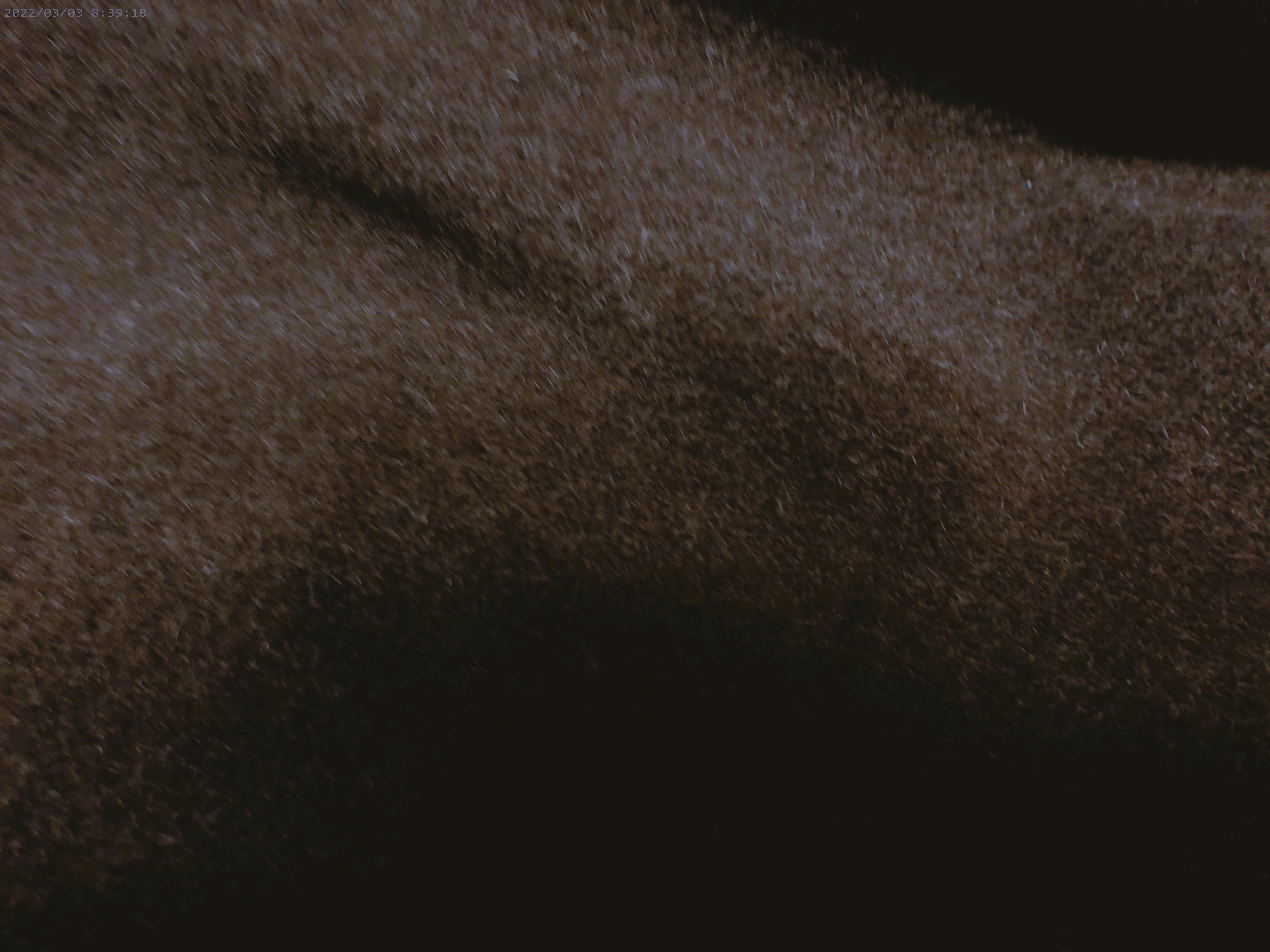 Brown Plain Wool Coating