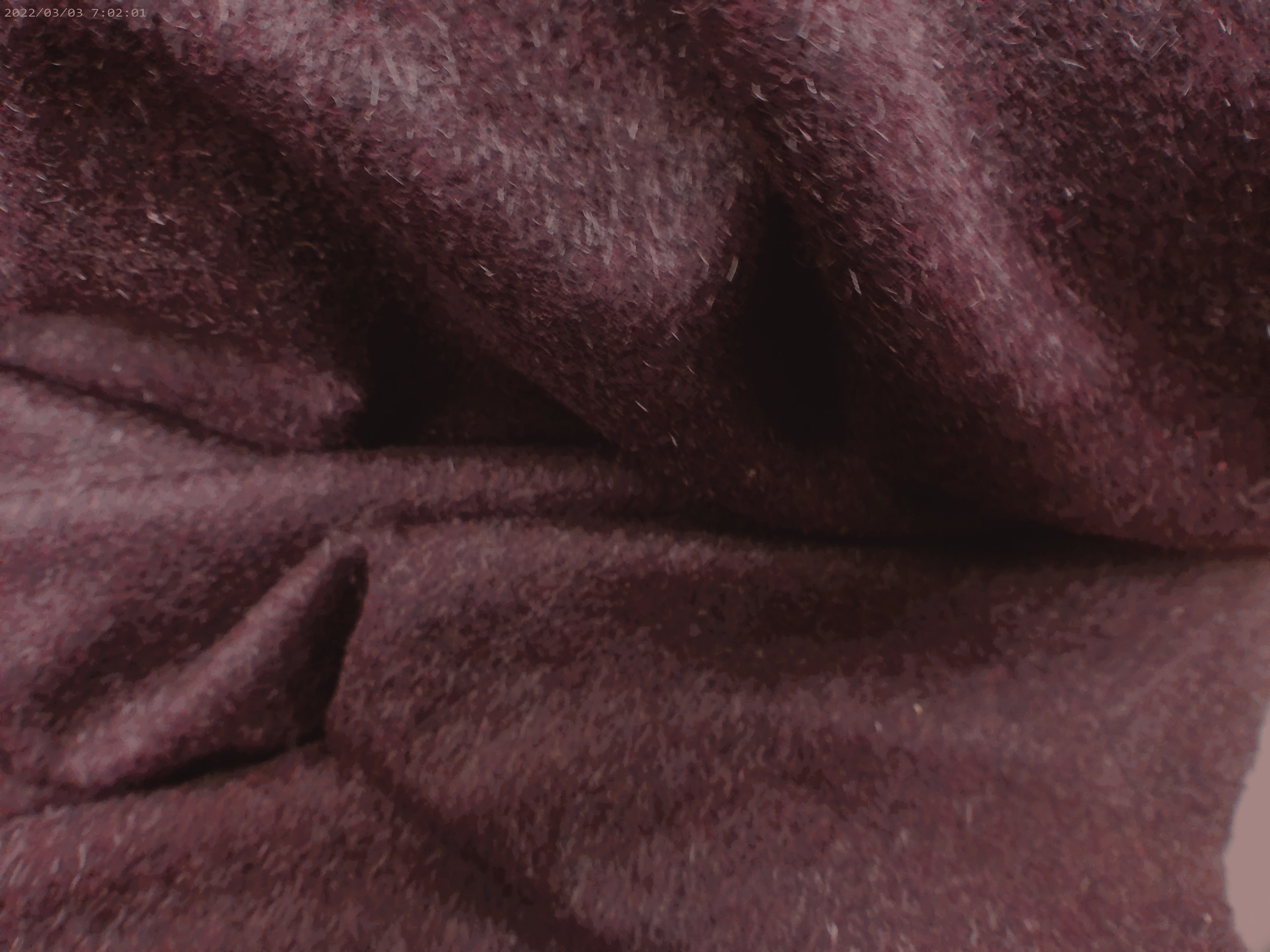 Burgundy Red Plain Wool Mohair Coating