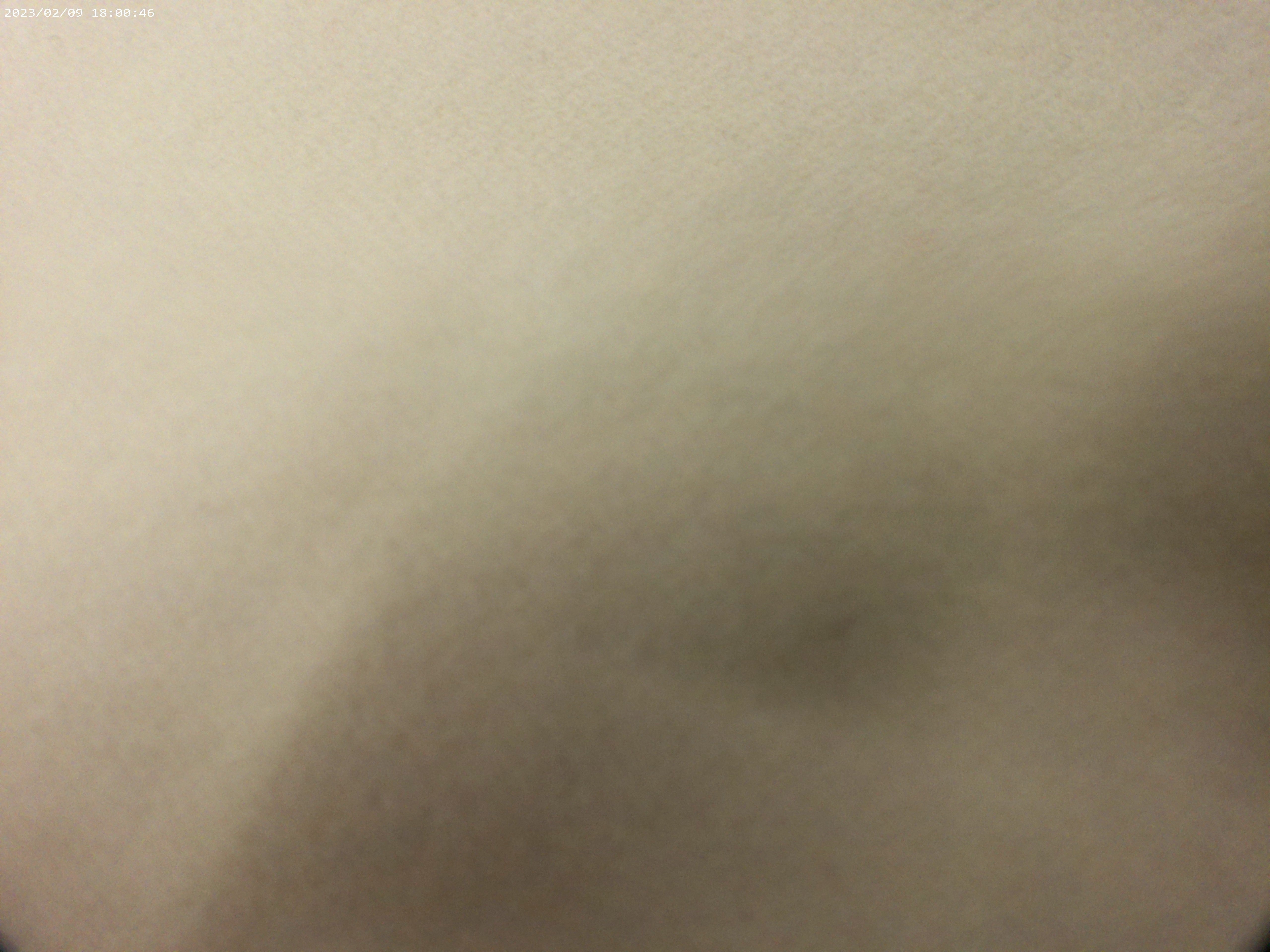Cream Plain Wool Coating