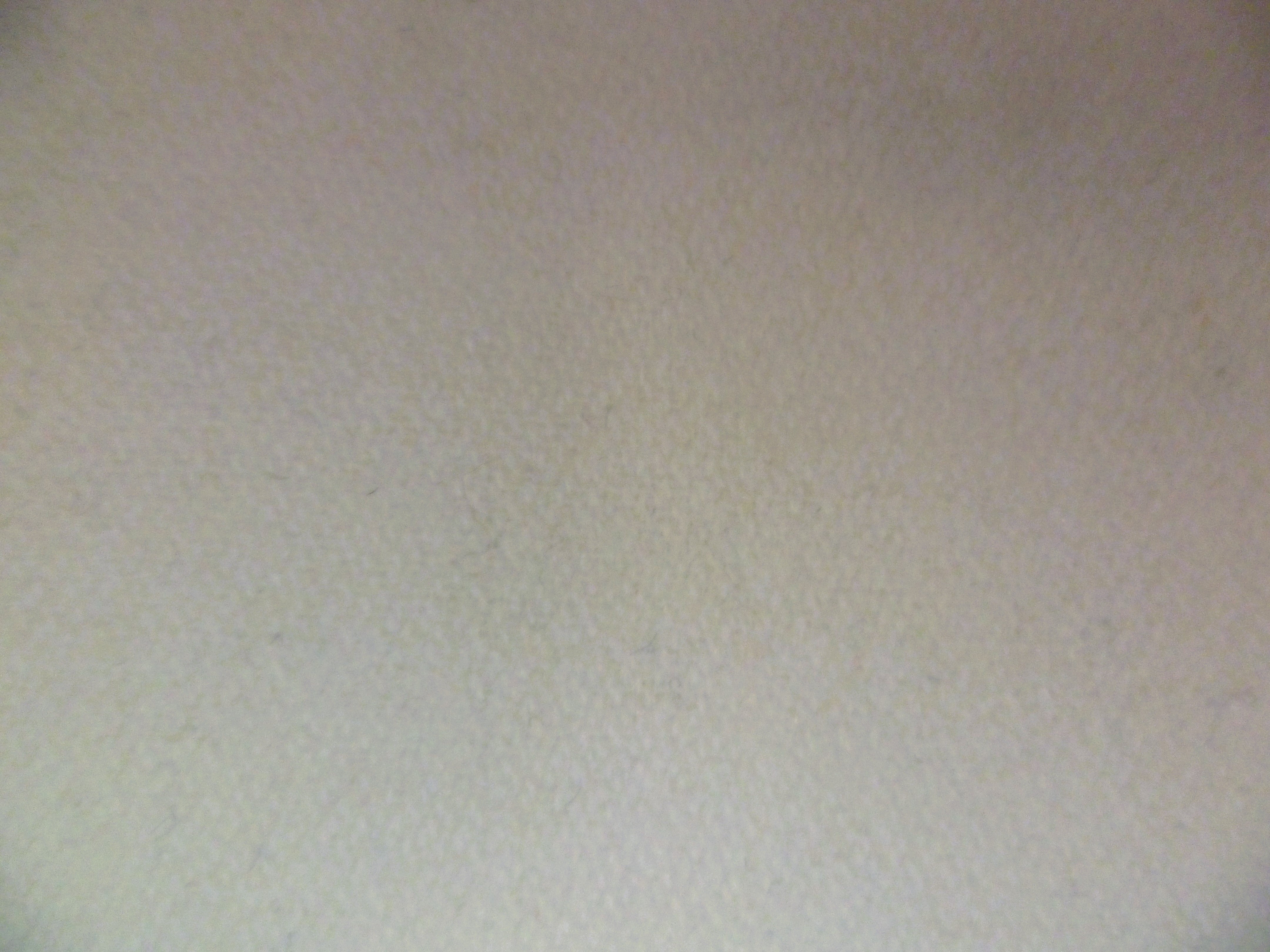 Cream Plain Wool Coating
