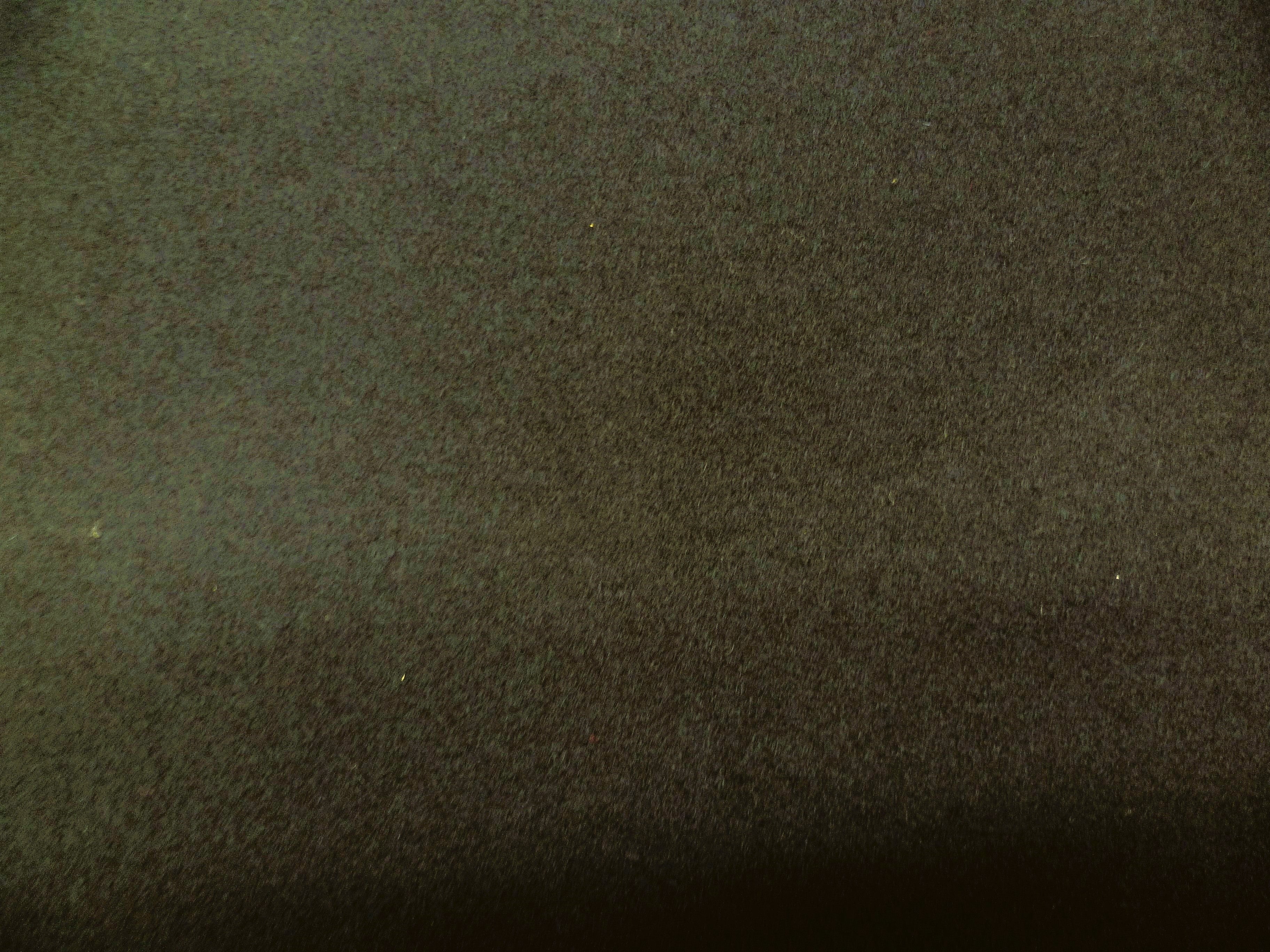 Green Plain Wool Coating