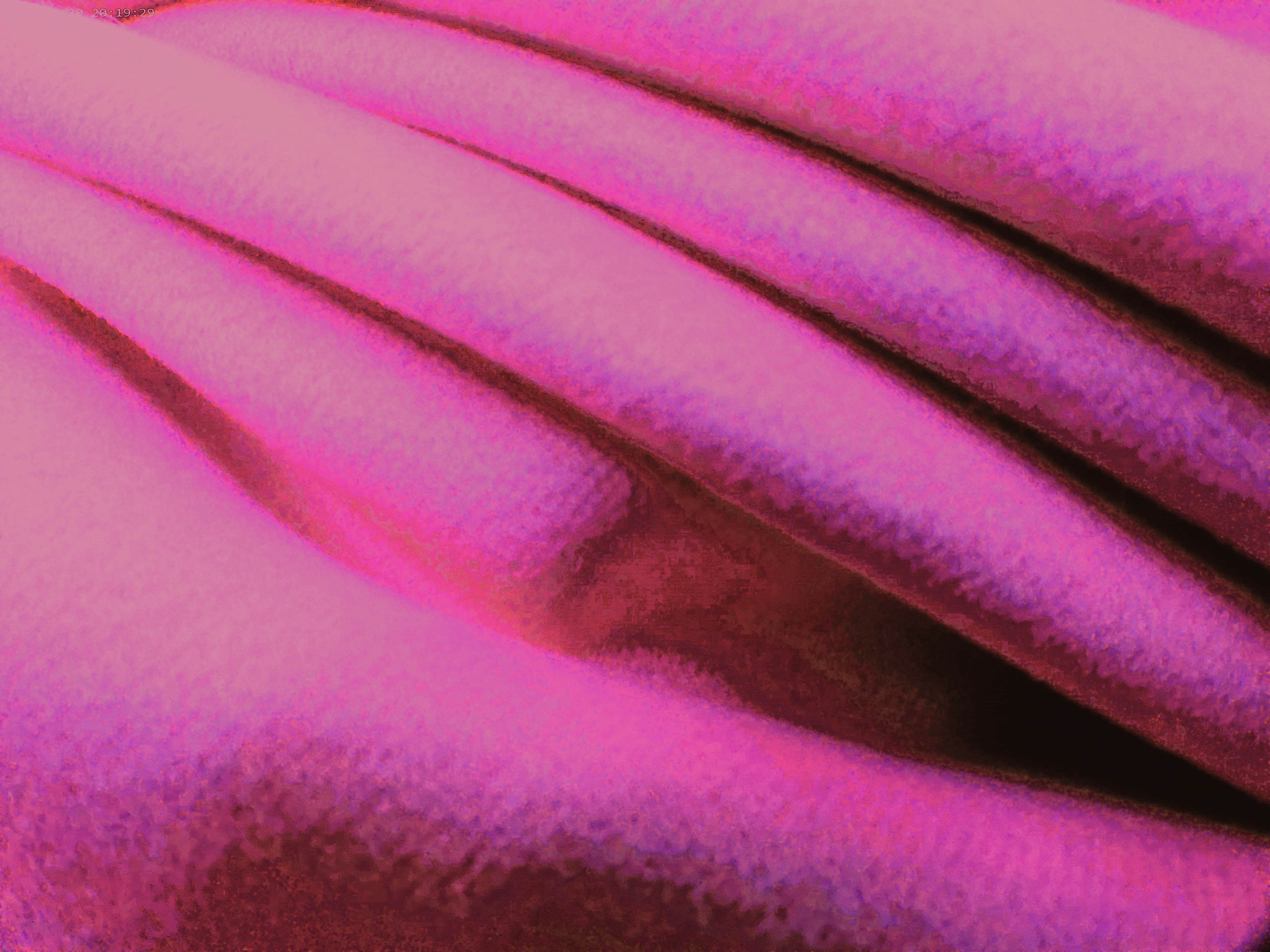 Gum Pink Plain Cashmere Blazer Coating