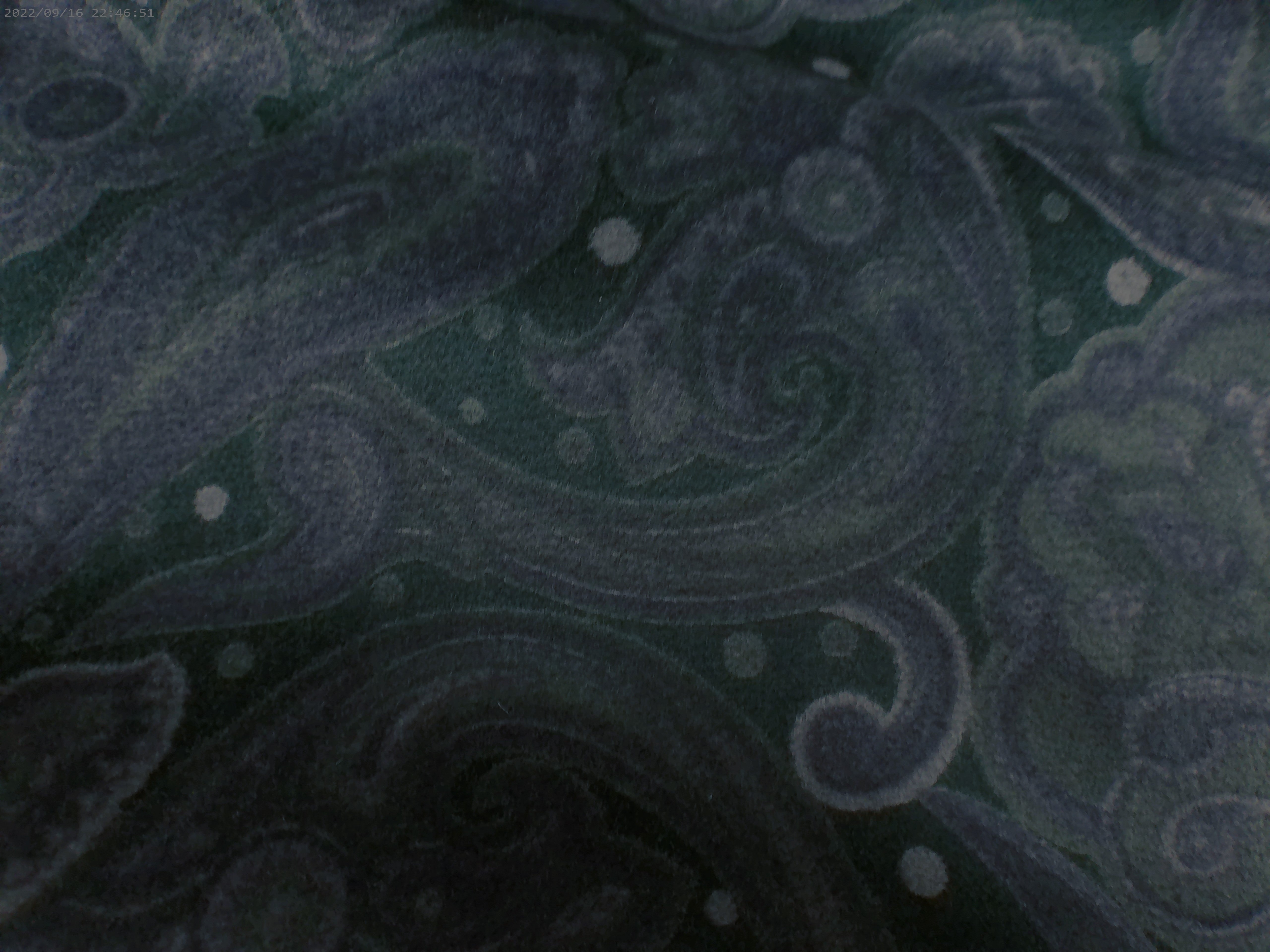 Multicolour Paisley Cotton Velvet Blazer
