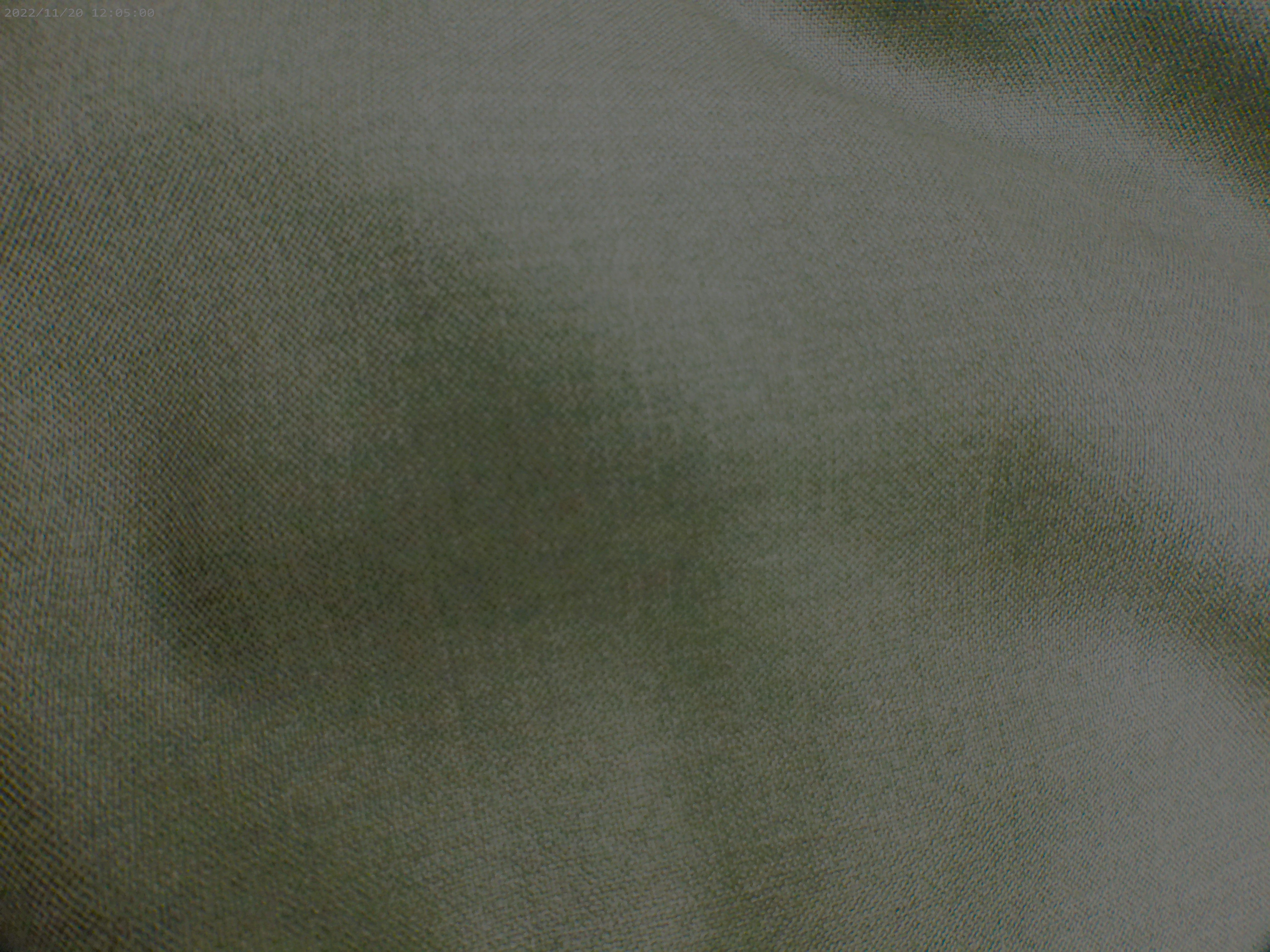 Olive Green Plain Worsted Wool Blazer Suiting