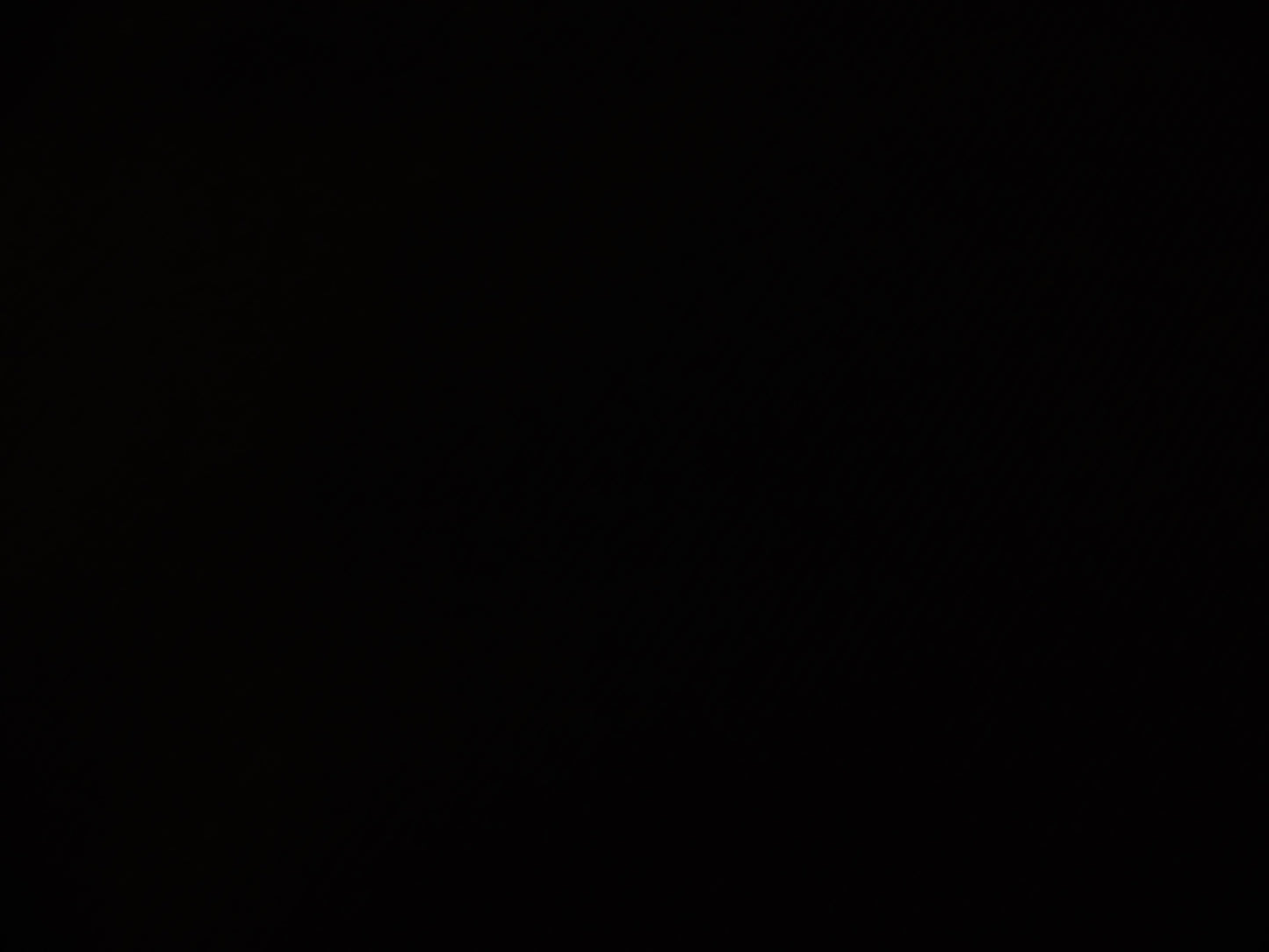 100 % Wool Worsted ( NEW 2023 )