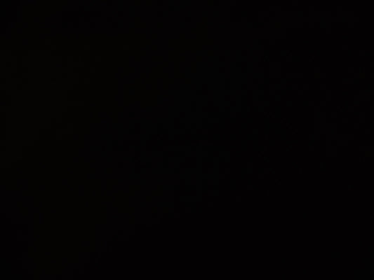 100 % Wool Worsted ( NEW 2023 )