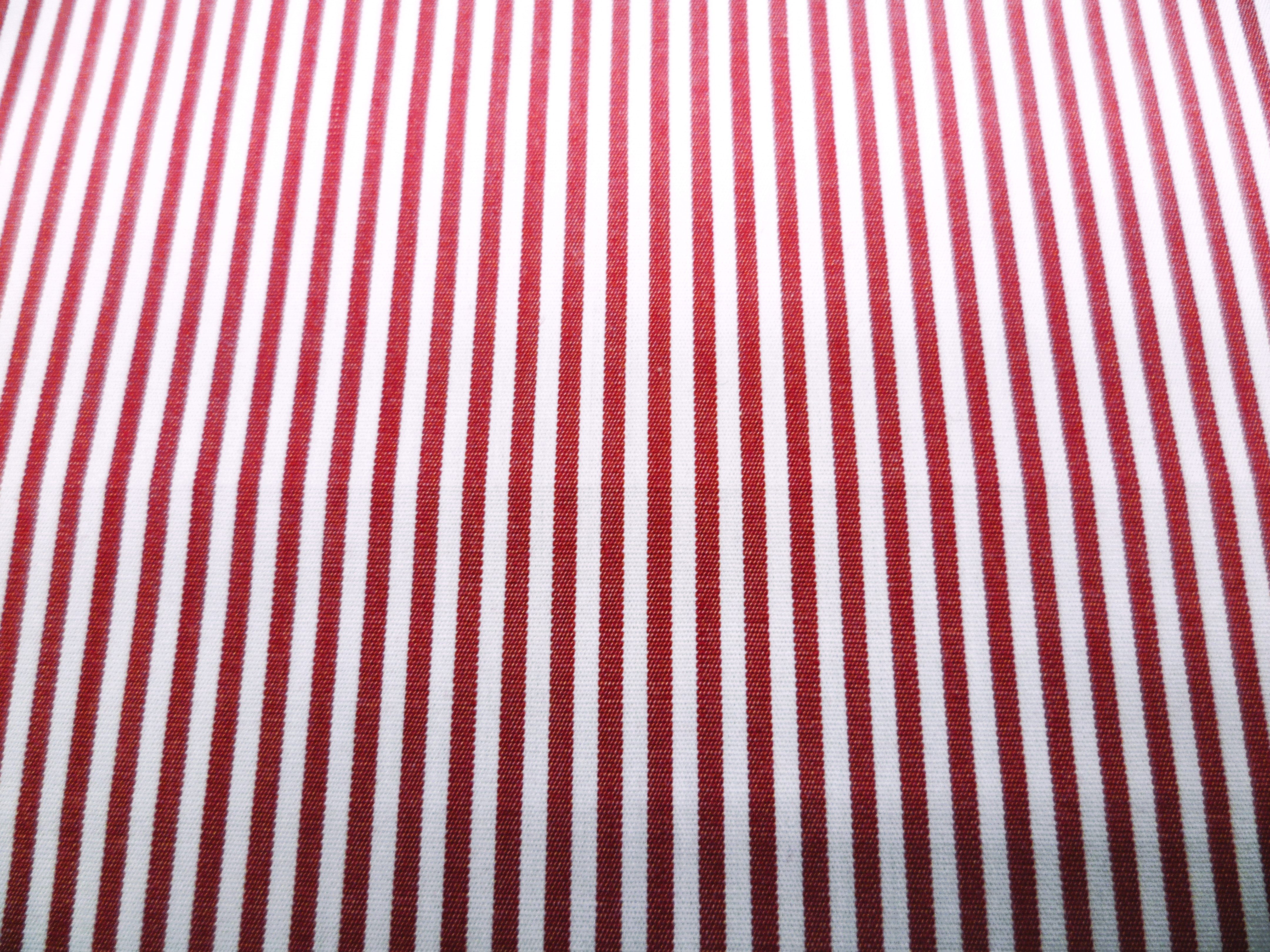 100 % Egyptian Cotton ( NEW  )